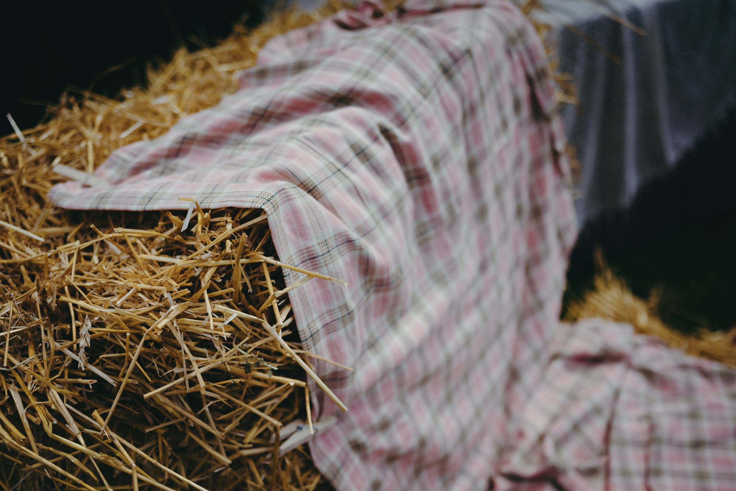 Корпоратив летом под открытым небом. Komonev