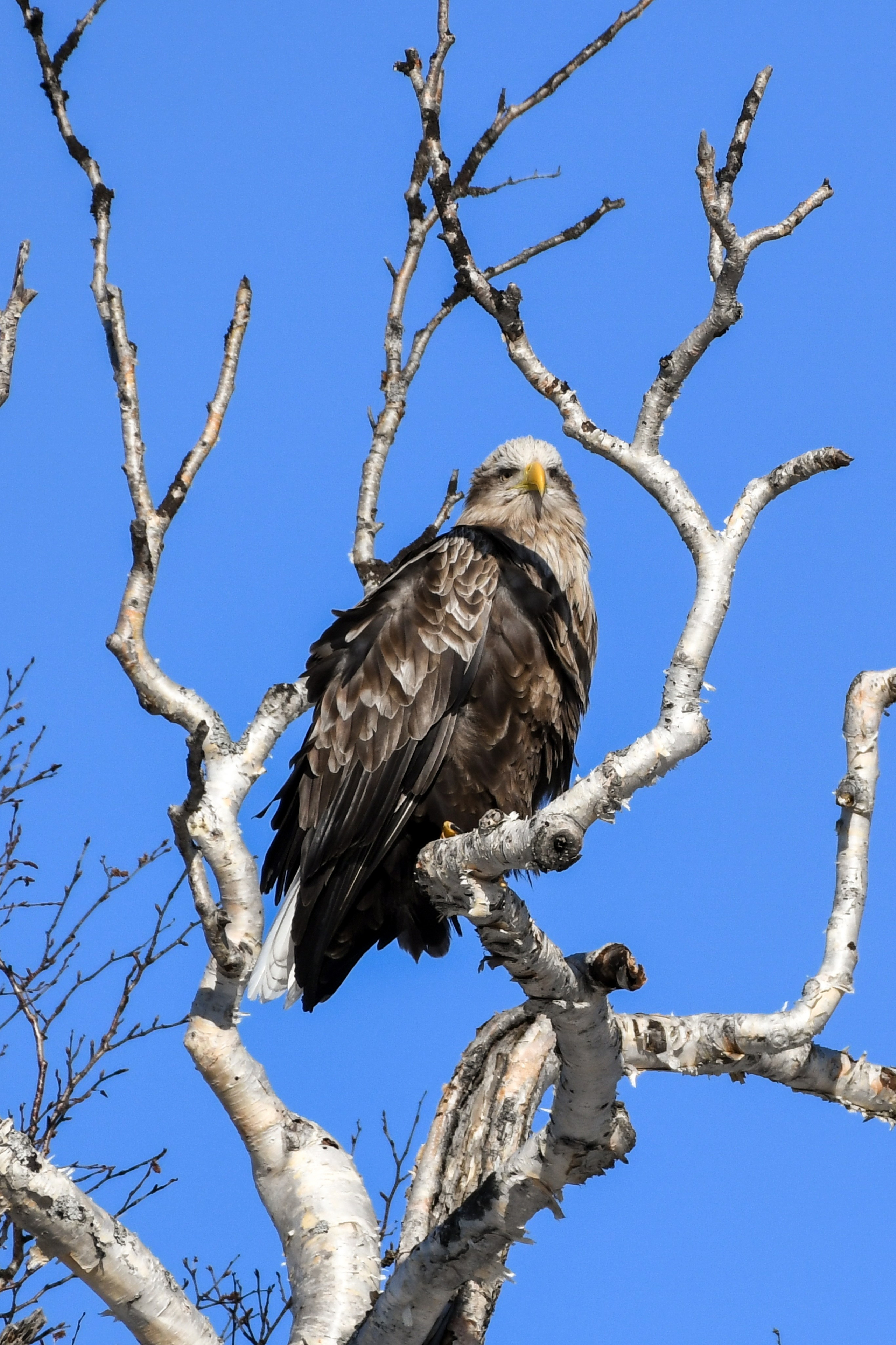 Природа. Людмила Москвичёва — Фотограф на все случаи жизни.Камчатка/Владивосток