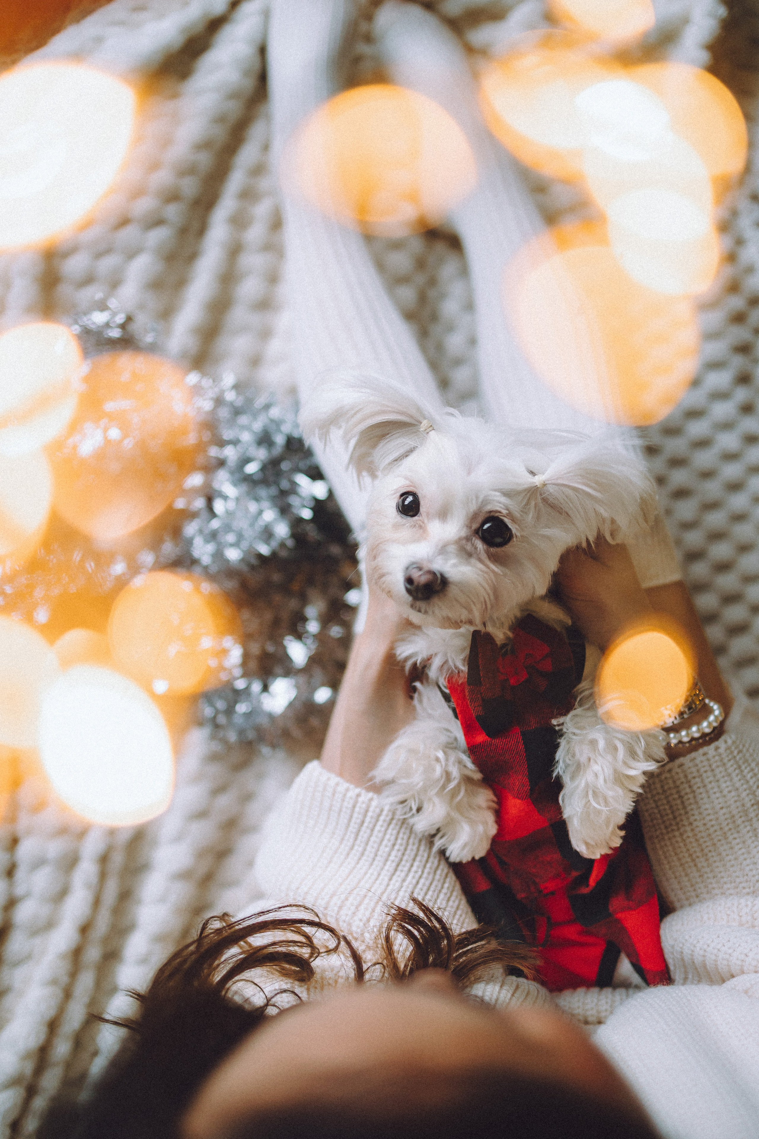 Констанция и Молли