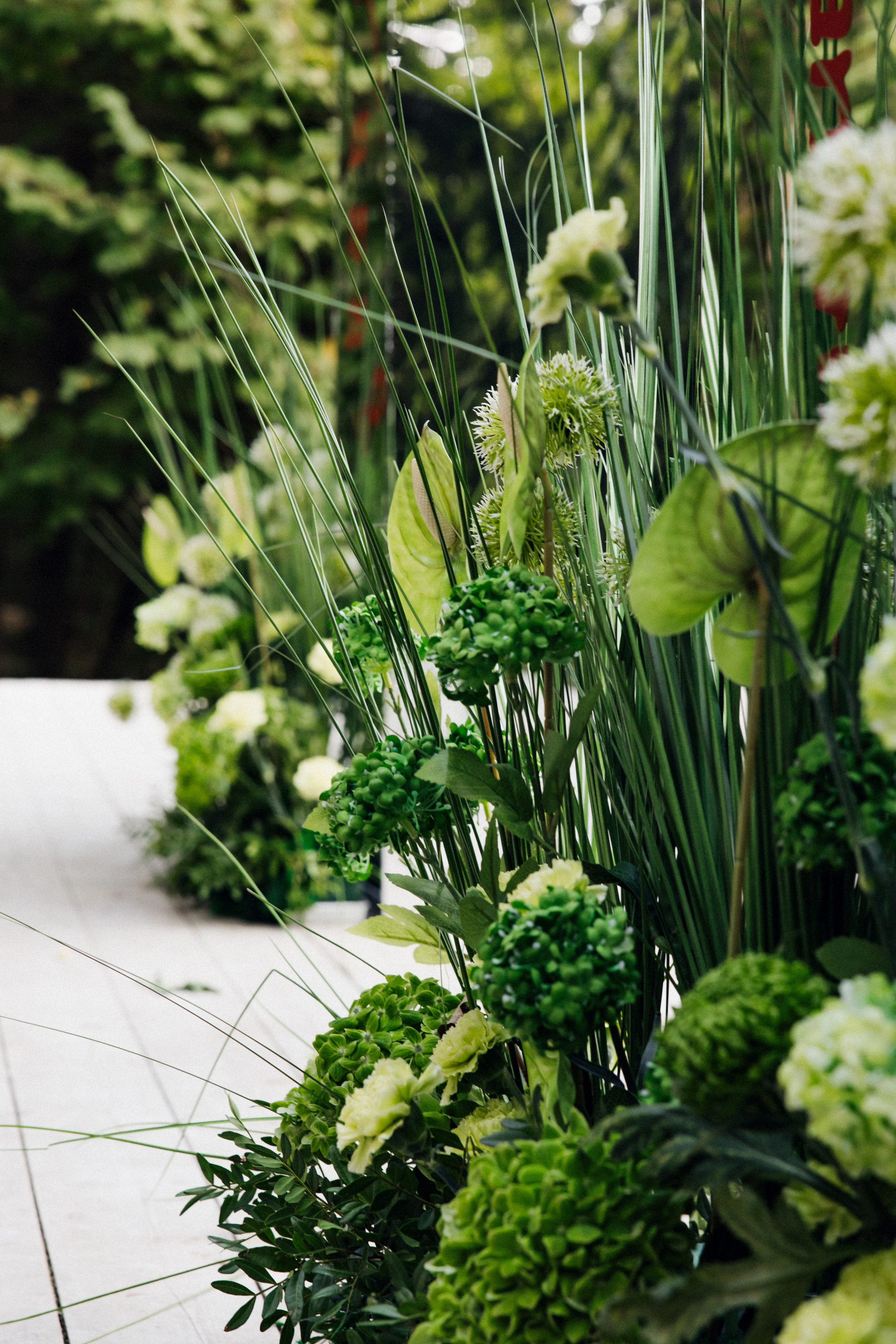 Денис и Елизавета. Фотограф в Красноярске