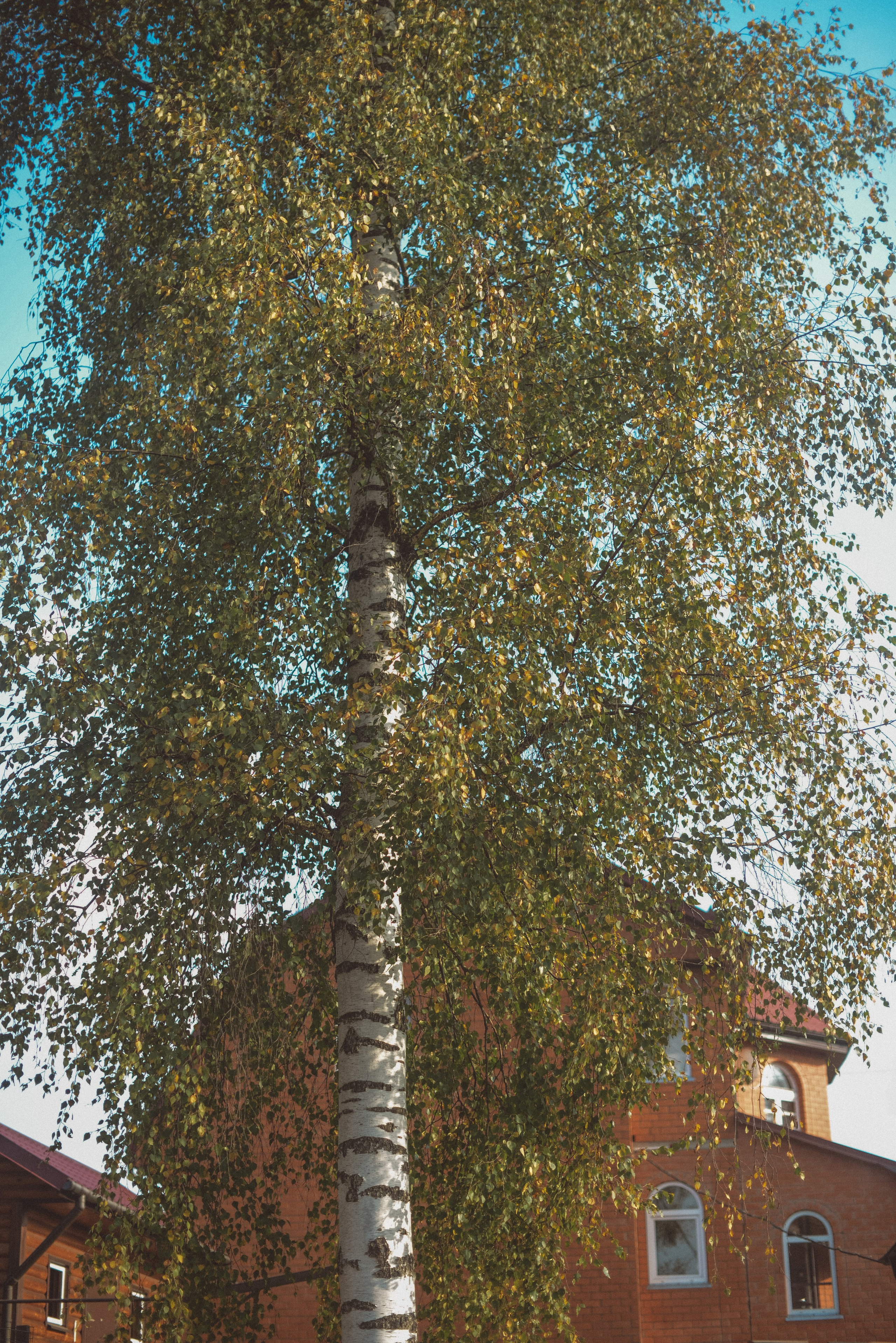 Одним осенним днем. Семейный и детский фотограф в Москве Князева Диана