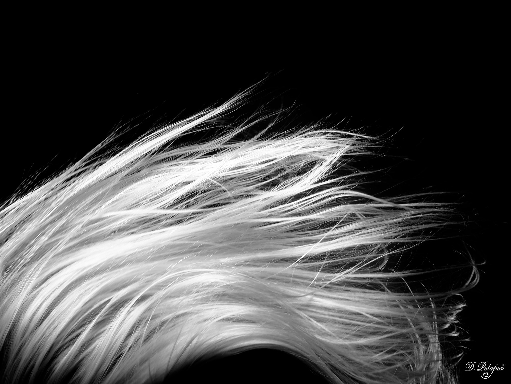 Ветер в студии. Московский фотограф Дмитрий Потапов