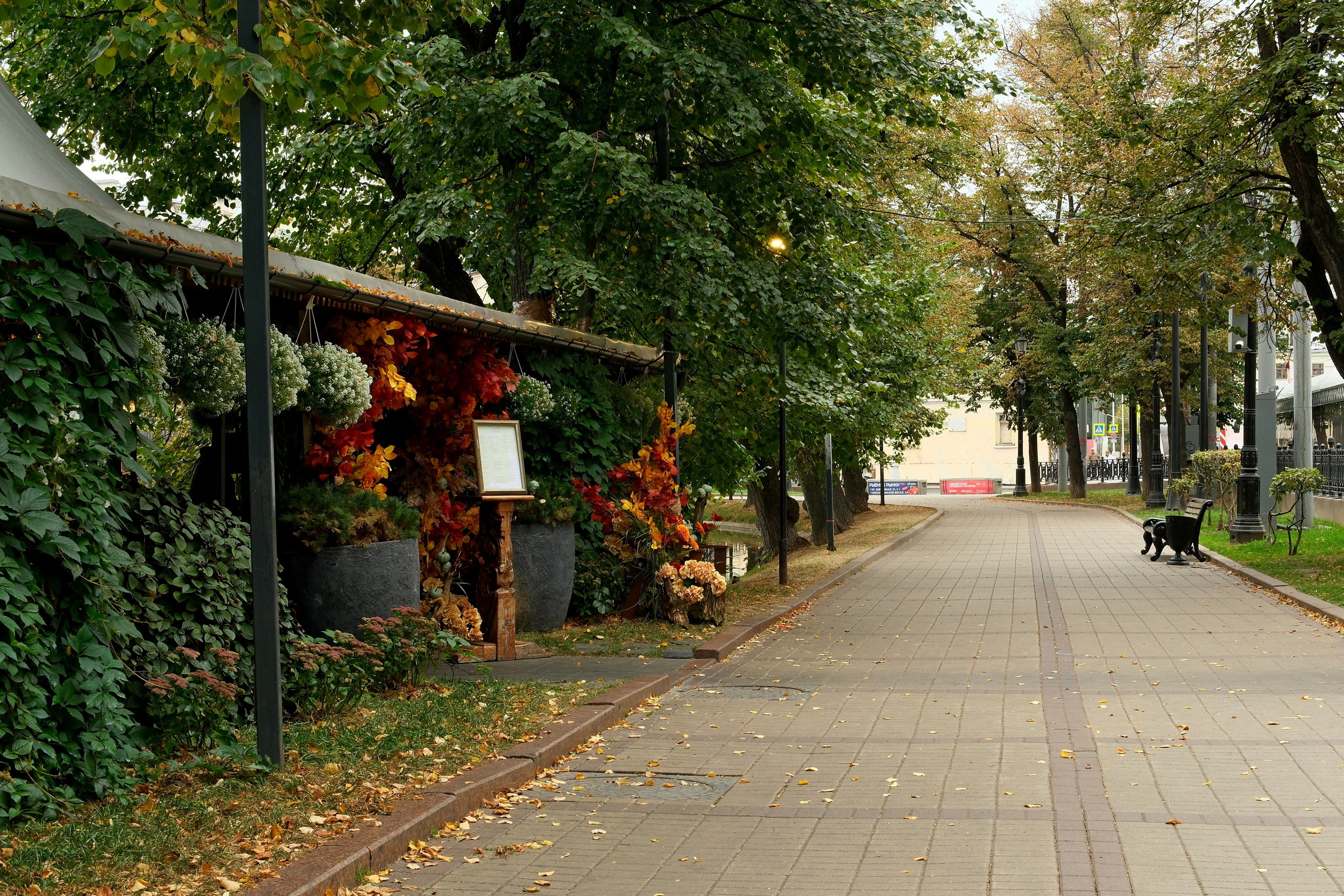 Сентябрь 2025. Улица, люди, жизнь…