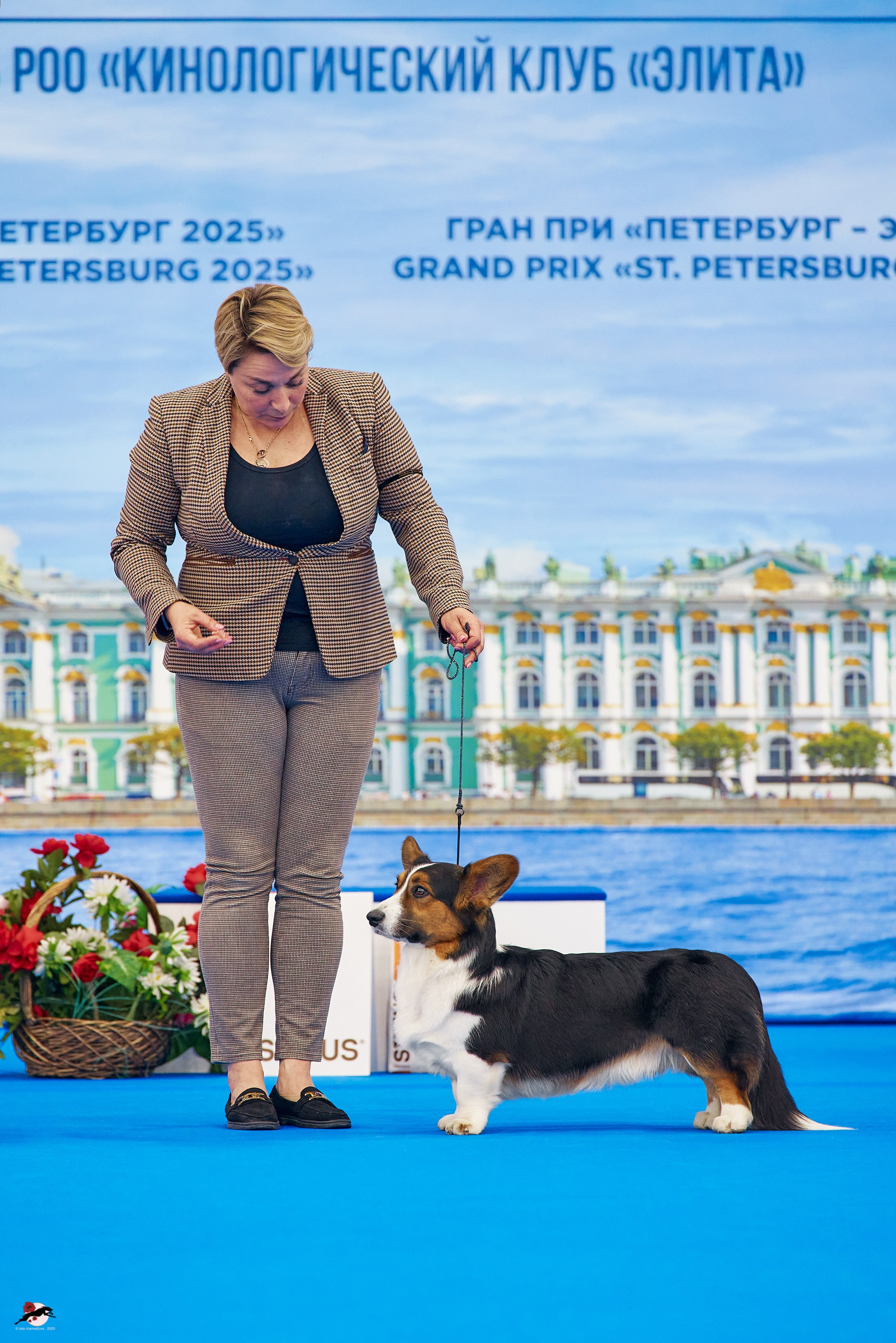 27.04.2025 | "Петербург-Элита 2025" & «КУБОК «ЭЛИТЫ»-2025»