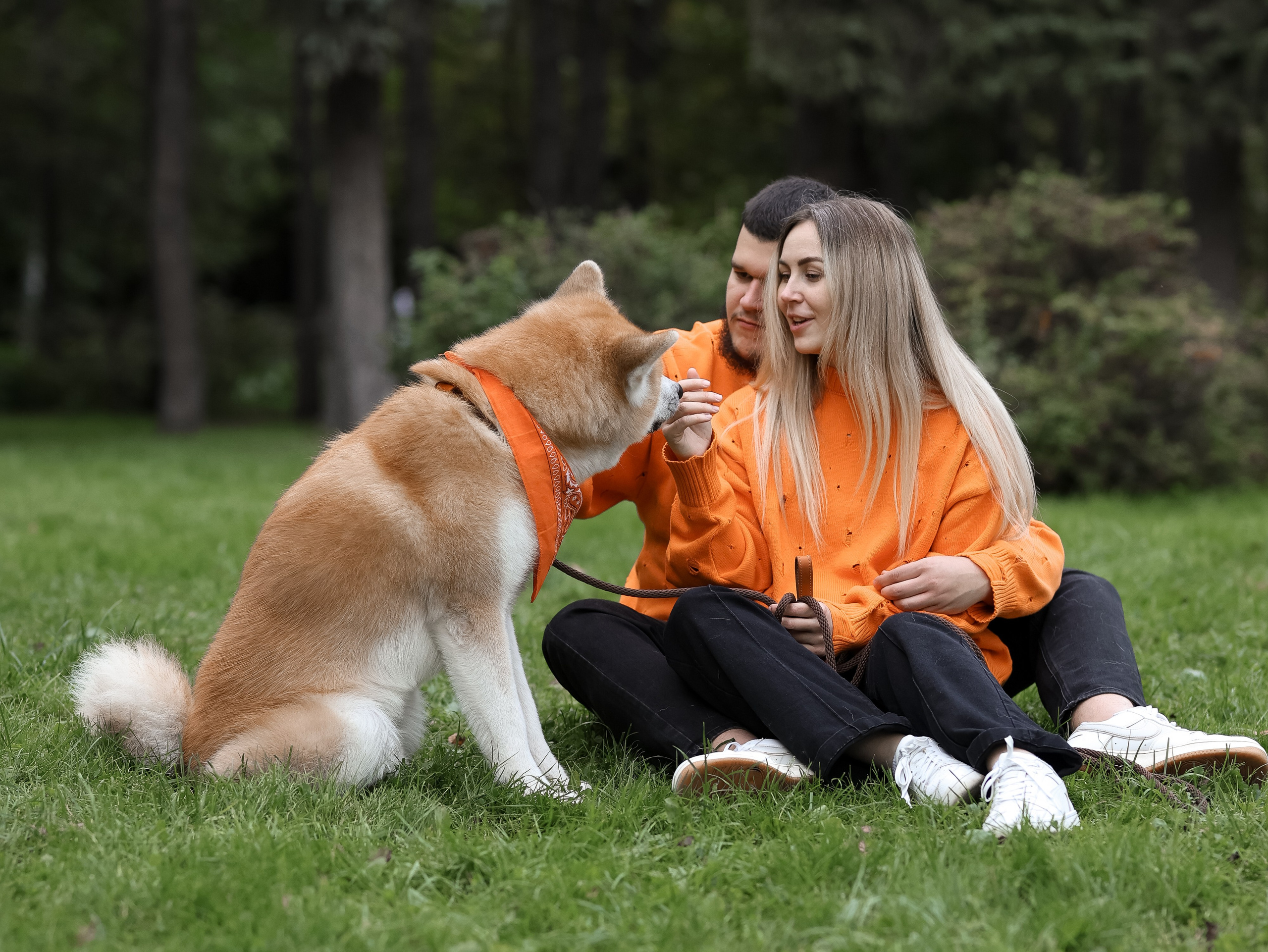 Гранд, Вика и Степан. Фотограф-анималист в Москве Кириллова Татьяна