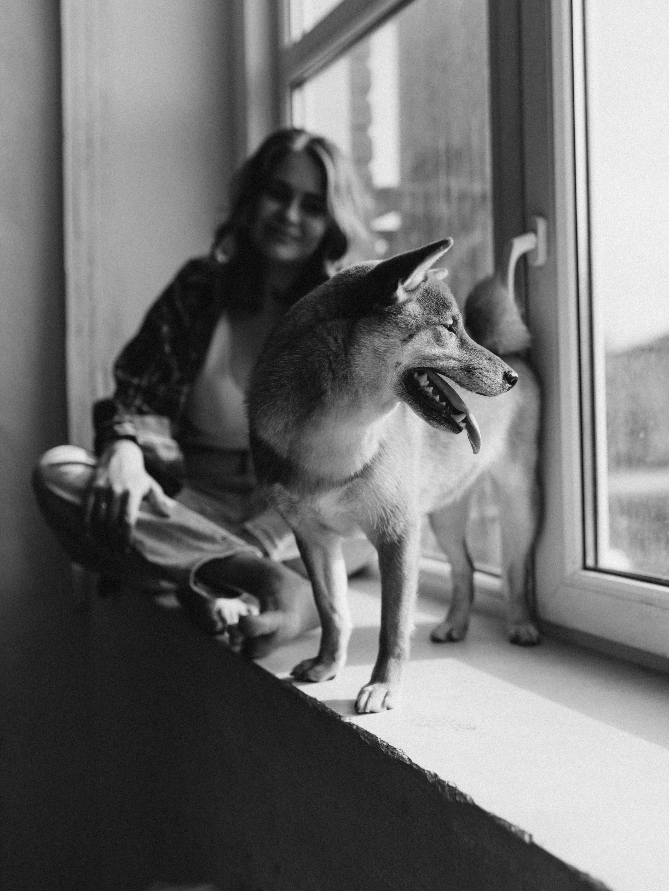 Мика и Настя. Фотограф-анималист в Москве Кириллова Татьяна