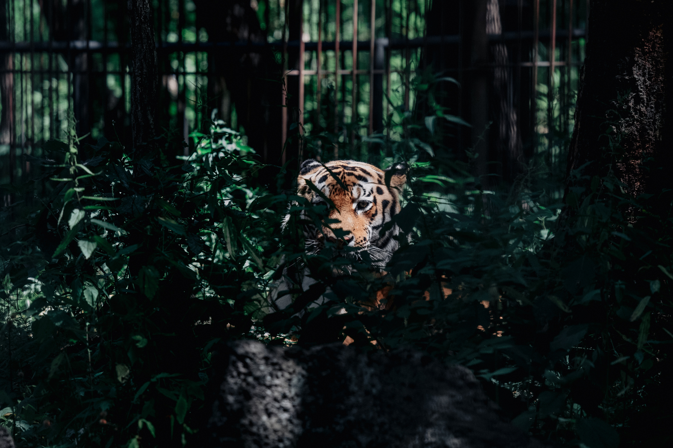 Фото журналист