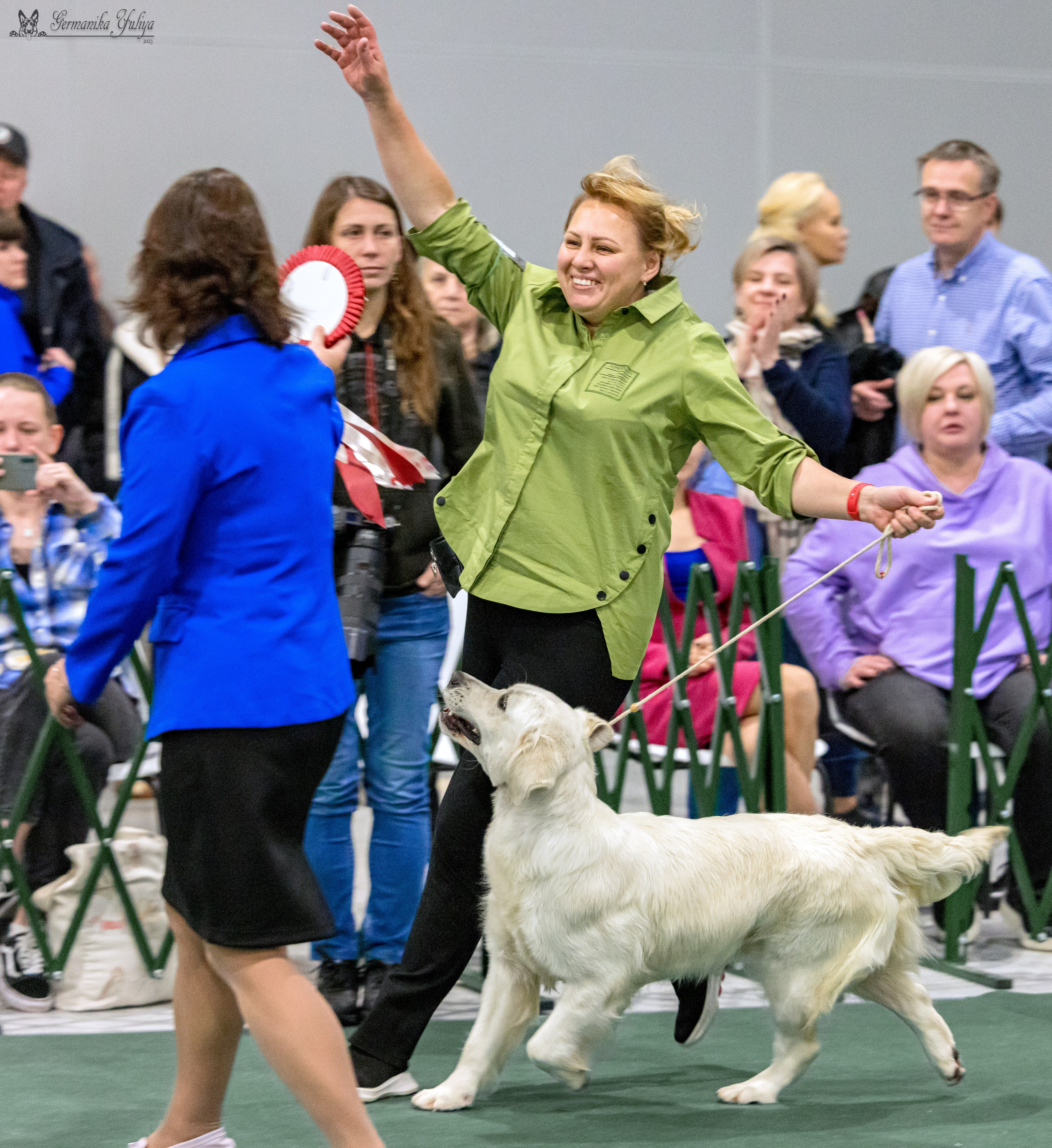 Сфера 29.10,Крокус 4.11,Сфера 12.11.2023. Фотограф-анималист Юлия Германика