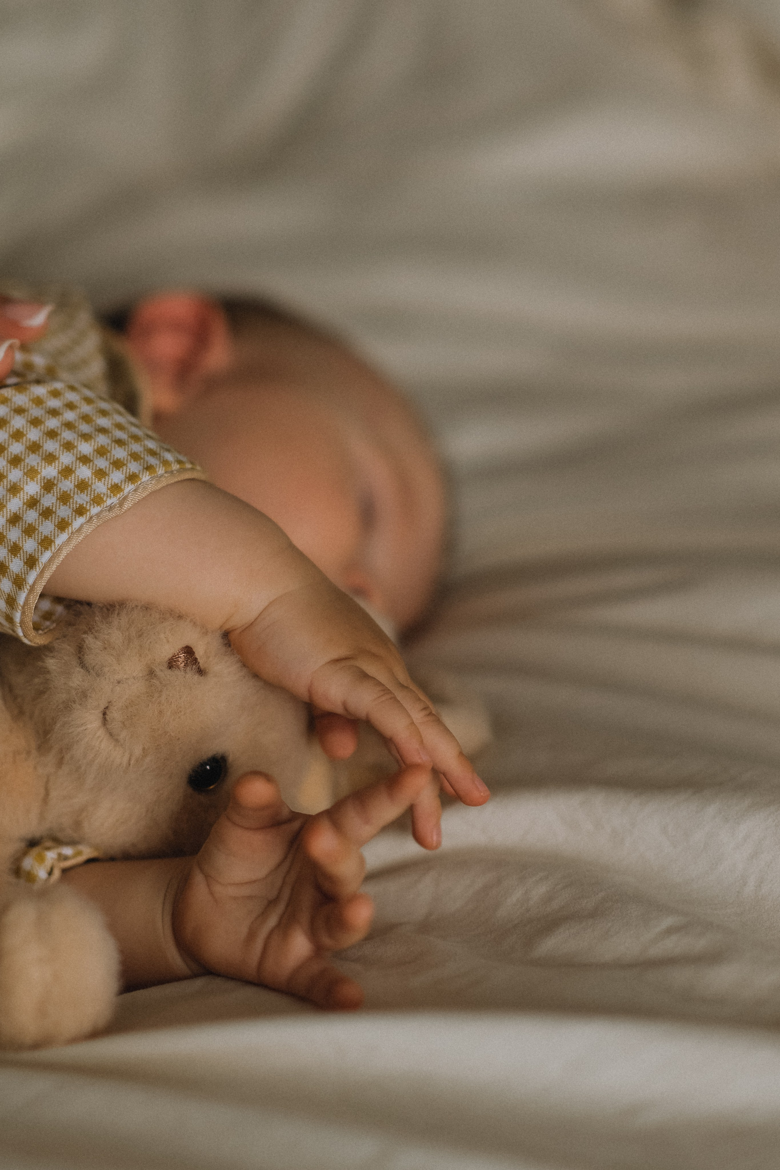 Алёна и Алиса. Семейный фотограф Москва