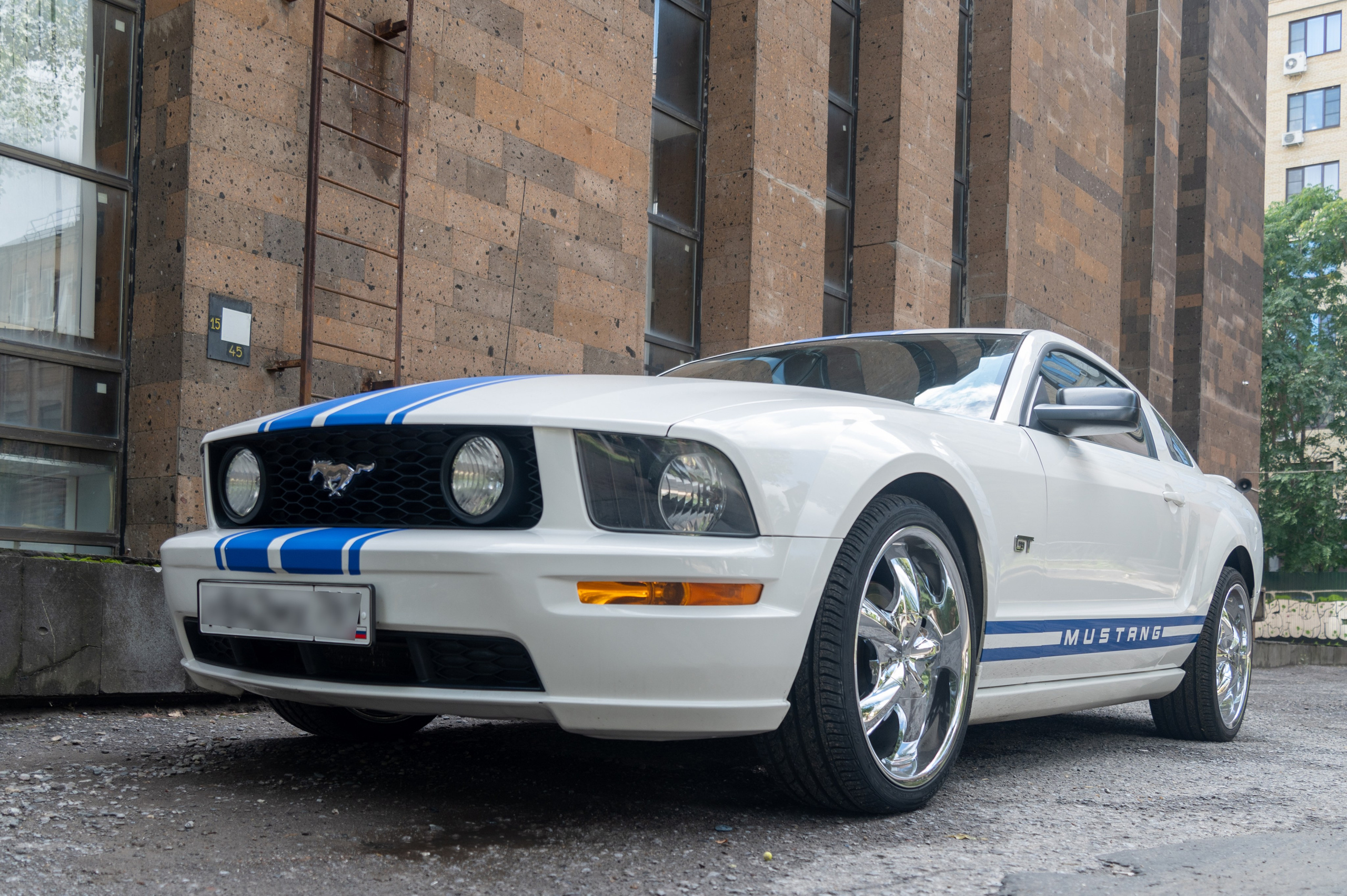 "Мустанг" исходная фотография