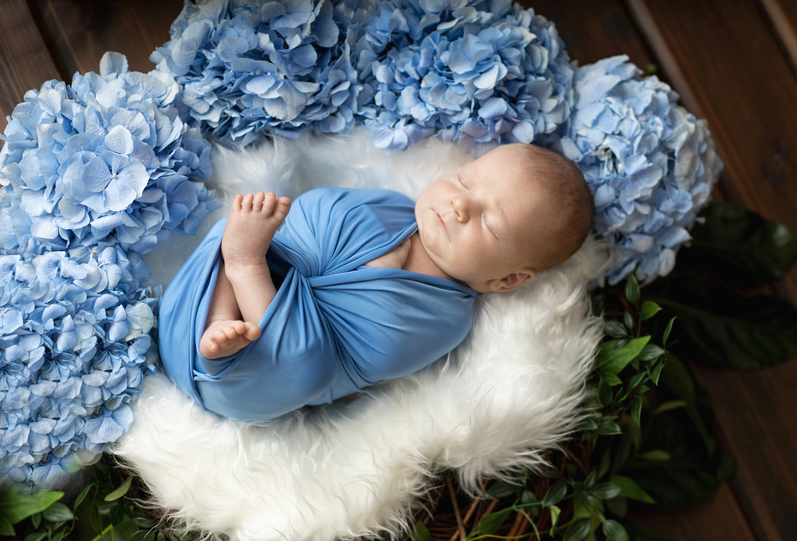 Лев, 13 дней. Фотограф новорожденных в Нижнем Новгороде Надежда Кадылкина