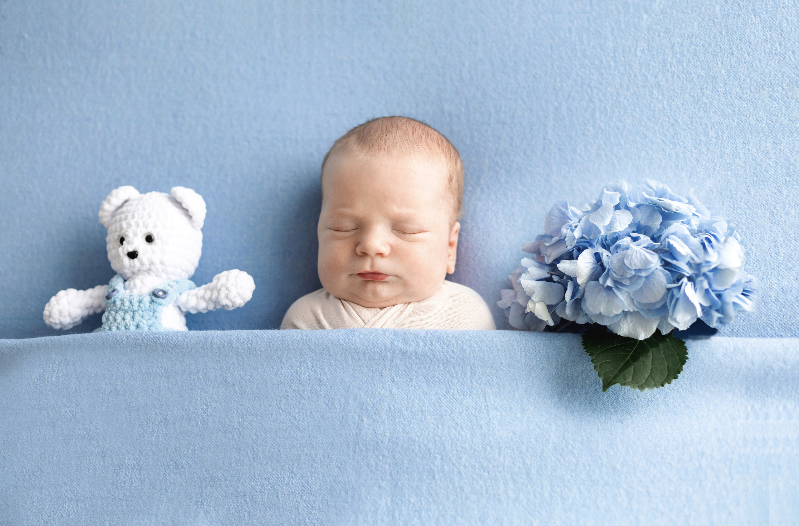 Лев, 13 дней. Фотограф новорожденных в Нижнем Новгороде Надежда Кадылкина