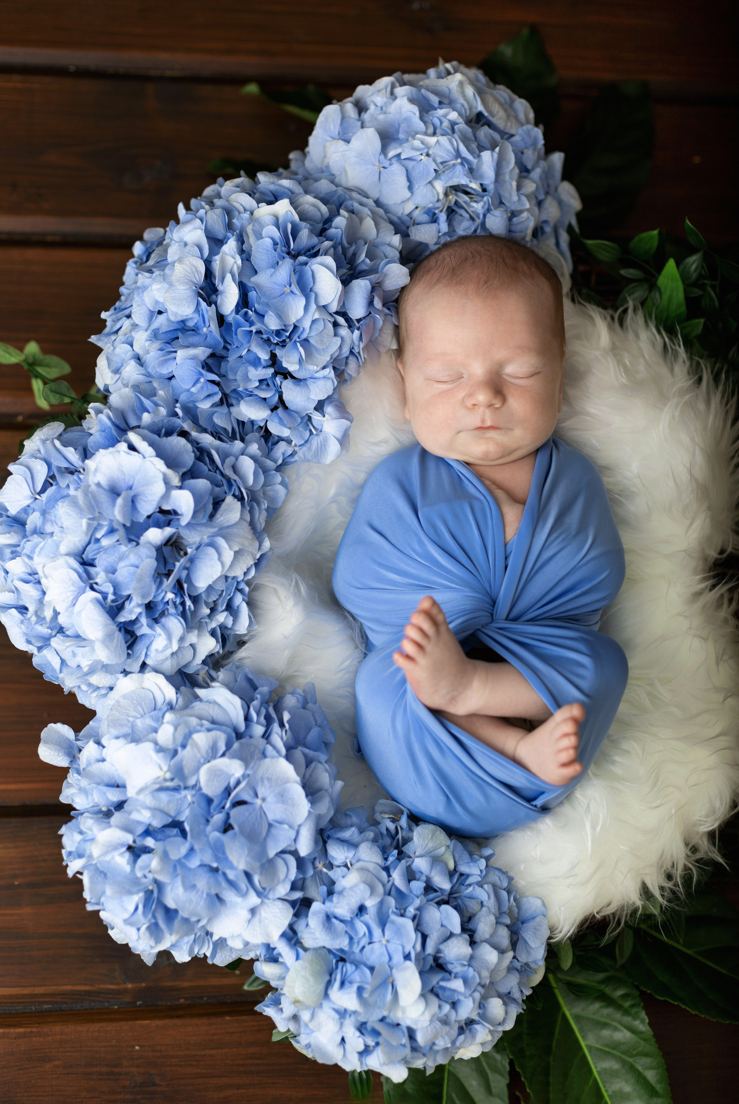 Лев, 13 дней. Фотограф новорожденных в Нижнем Новгороде Надежда Кадылкина