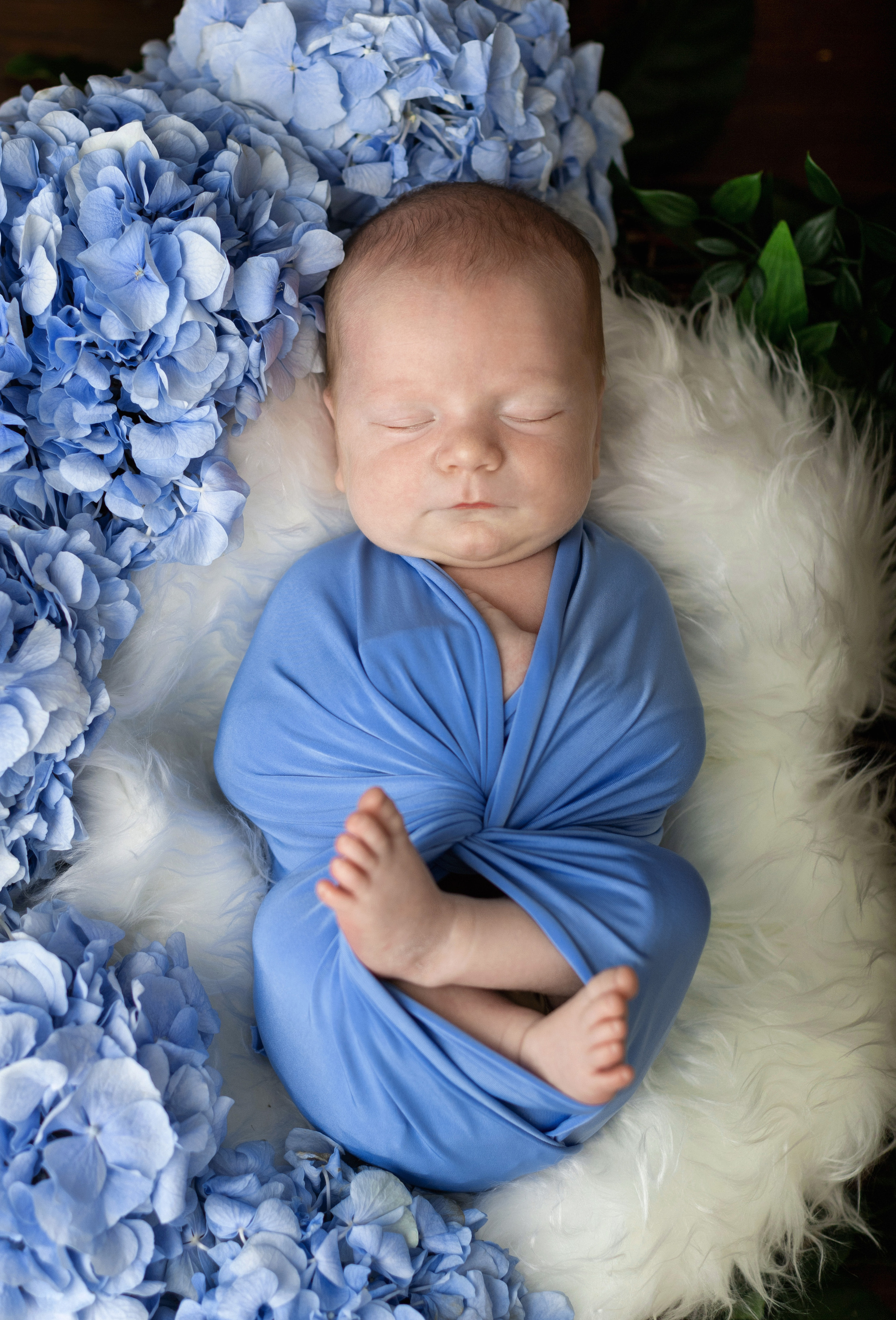 Лев, 13 дней. Фотограф новорожденных в Нижнем Новгороде Надежда Кадылкина