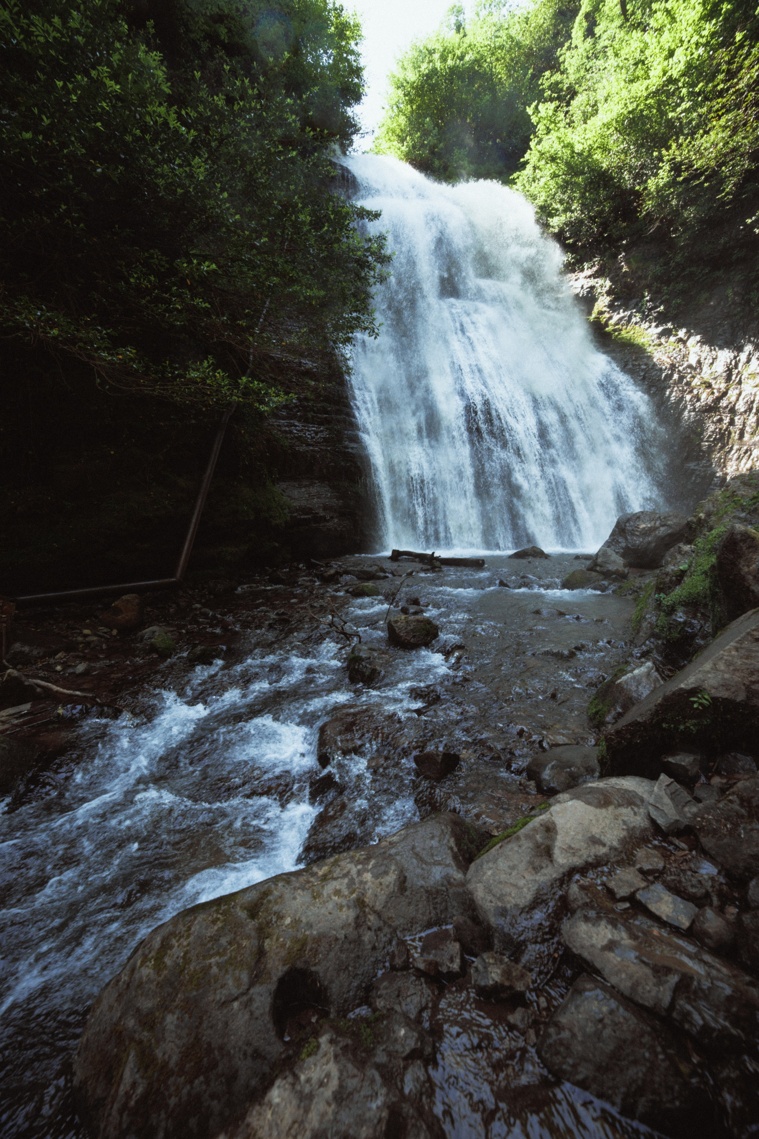 Nature. Артем Корнев Фотограф