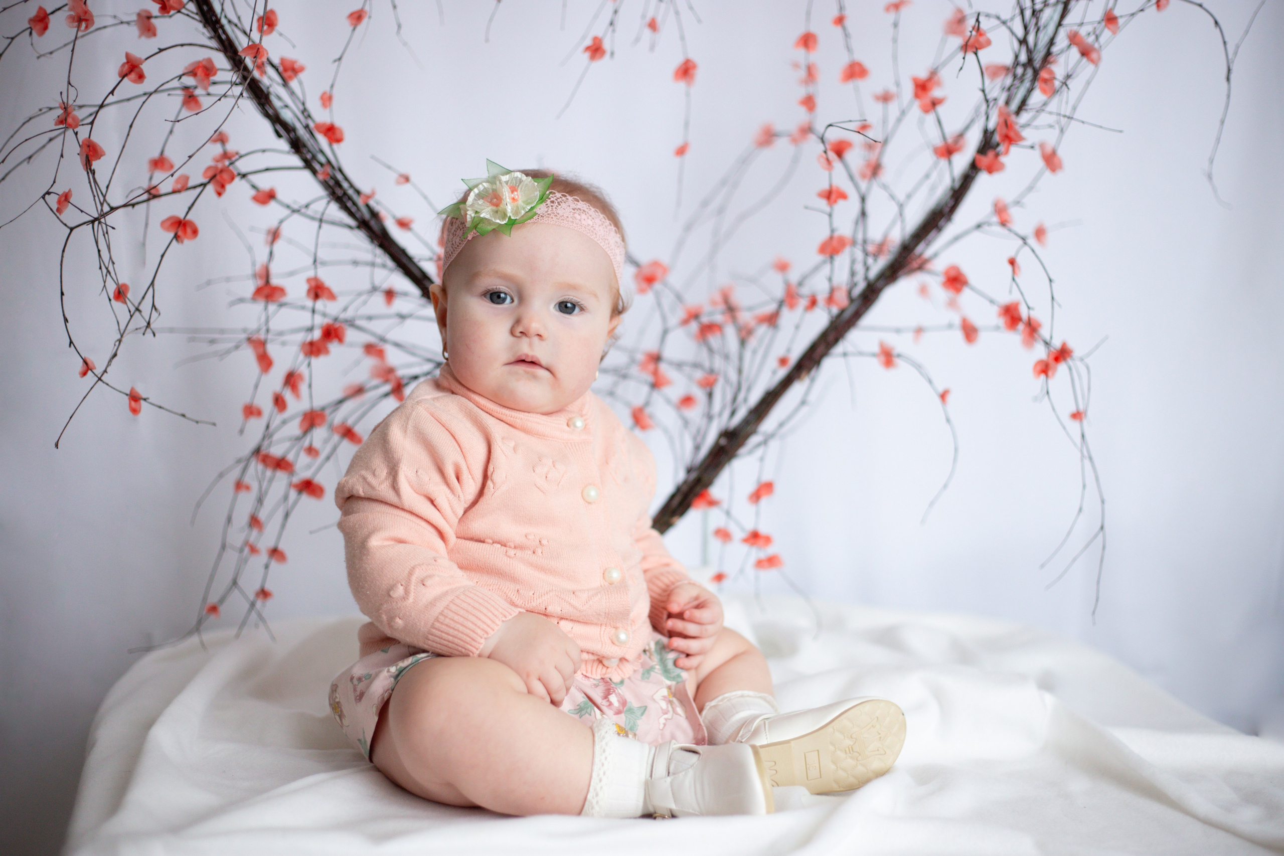 Сердце (14 февраля)