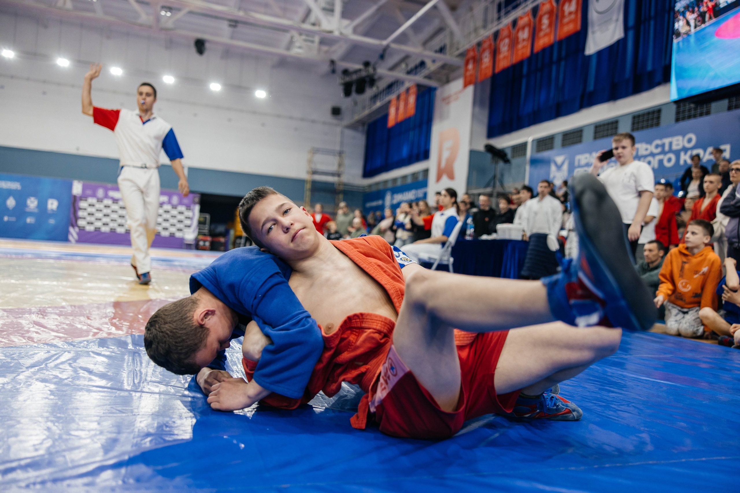 Sambo Championship. Maxim Tsoy Photography
