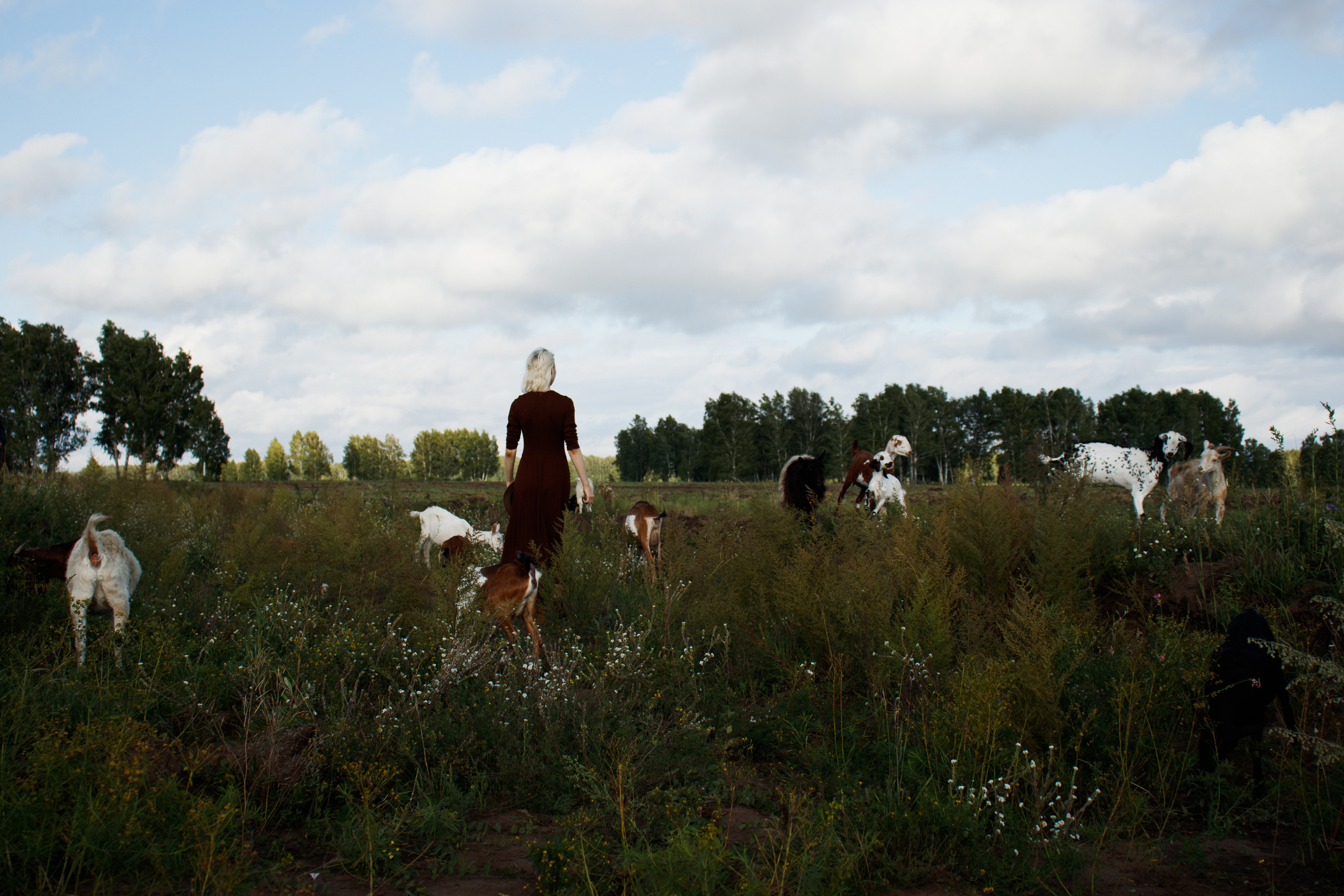 Екатерина. Фотограф — Новосибирск