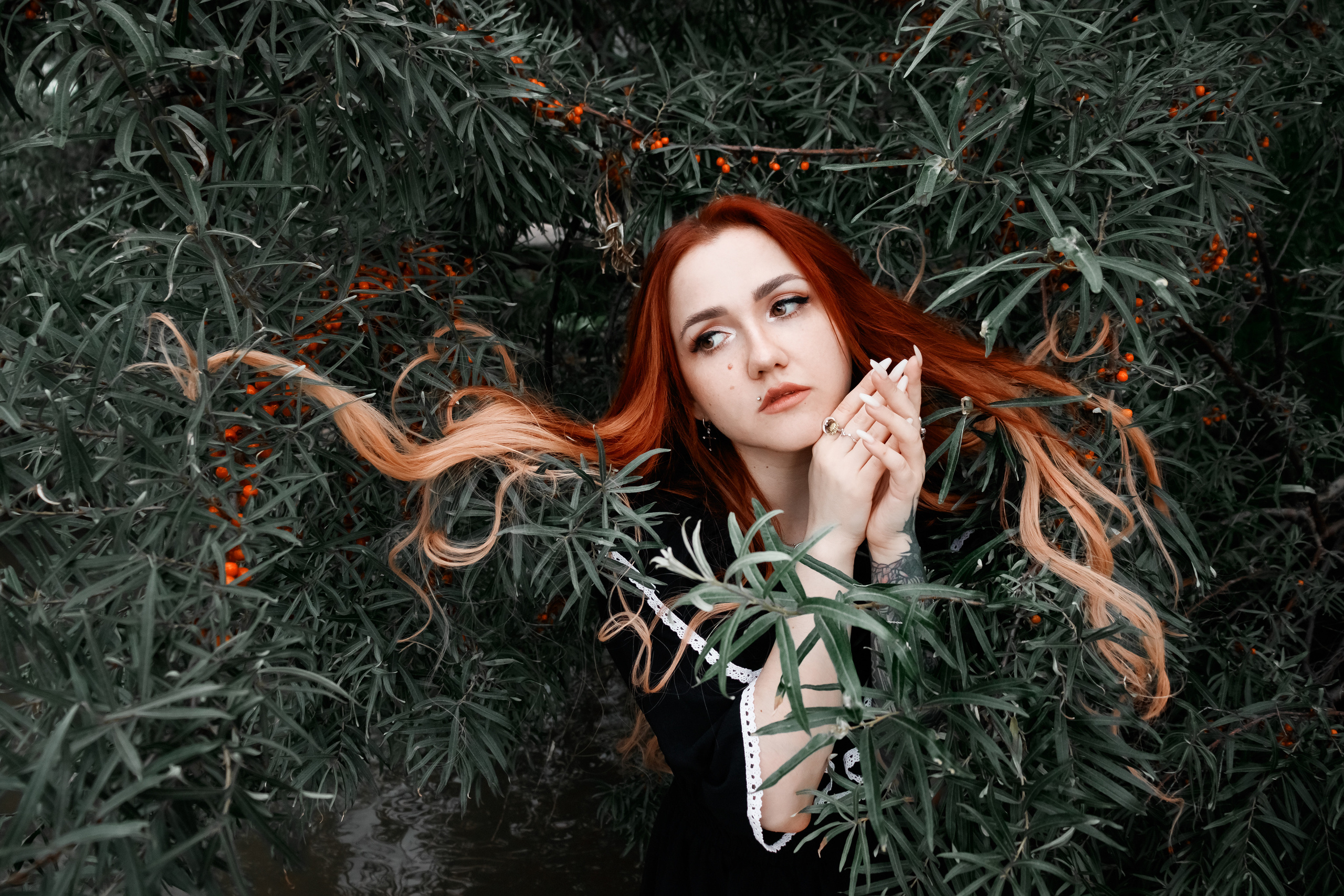 Алена. Фотограф — Новосибирск