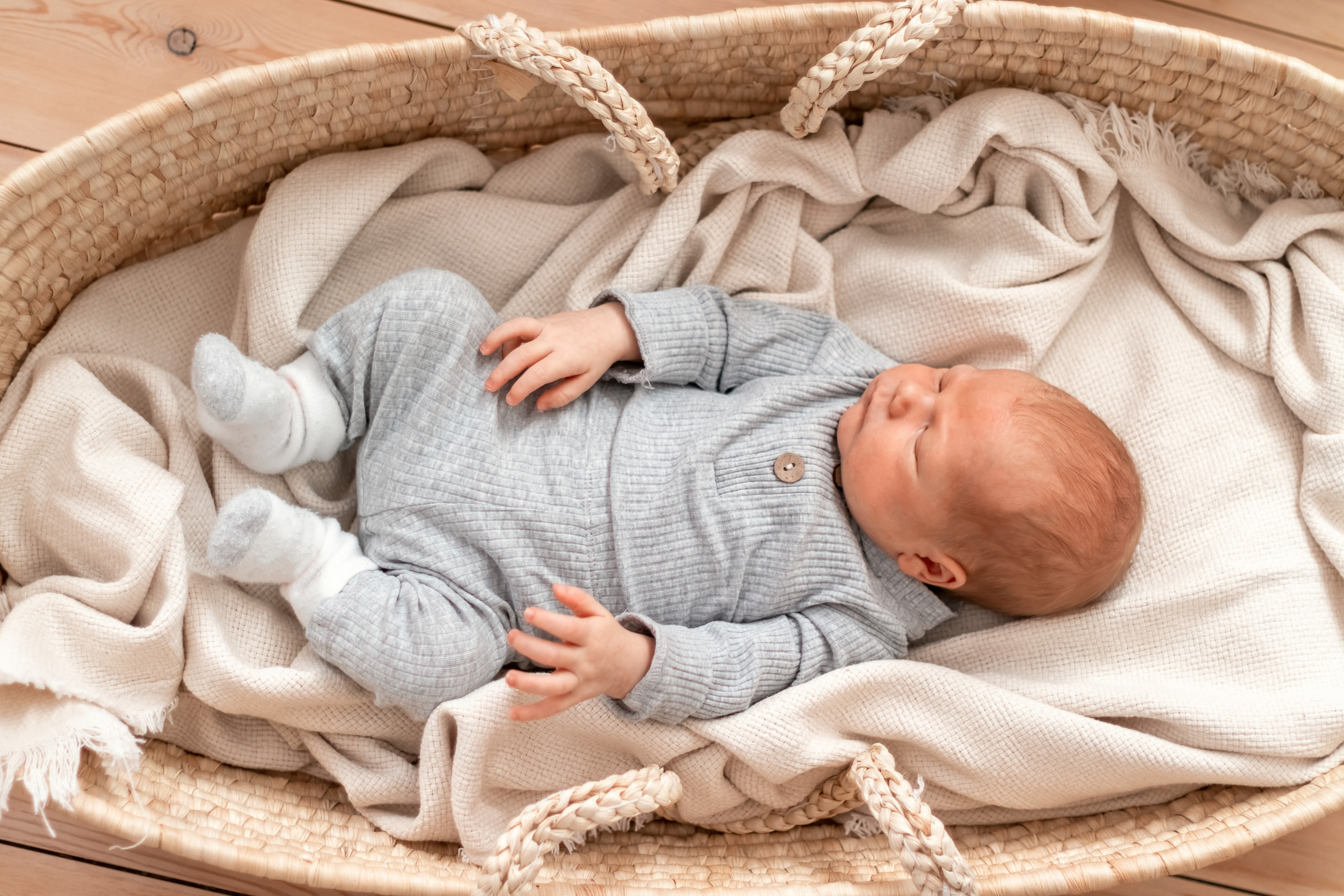 Макару 2. Фотограф — Новосибирск