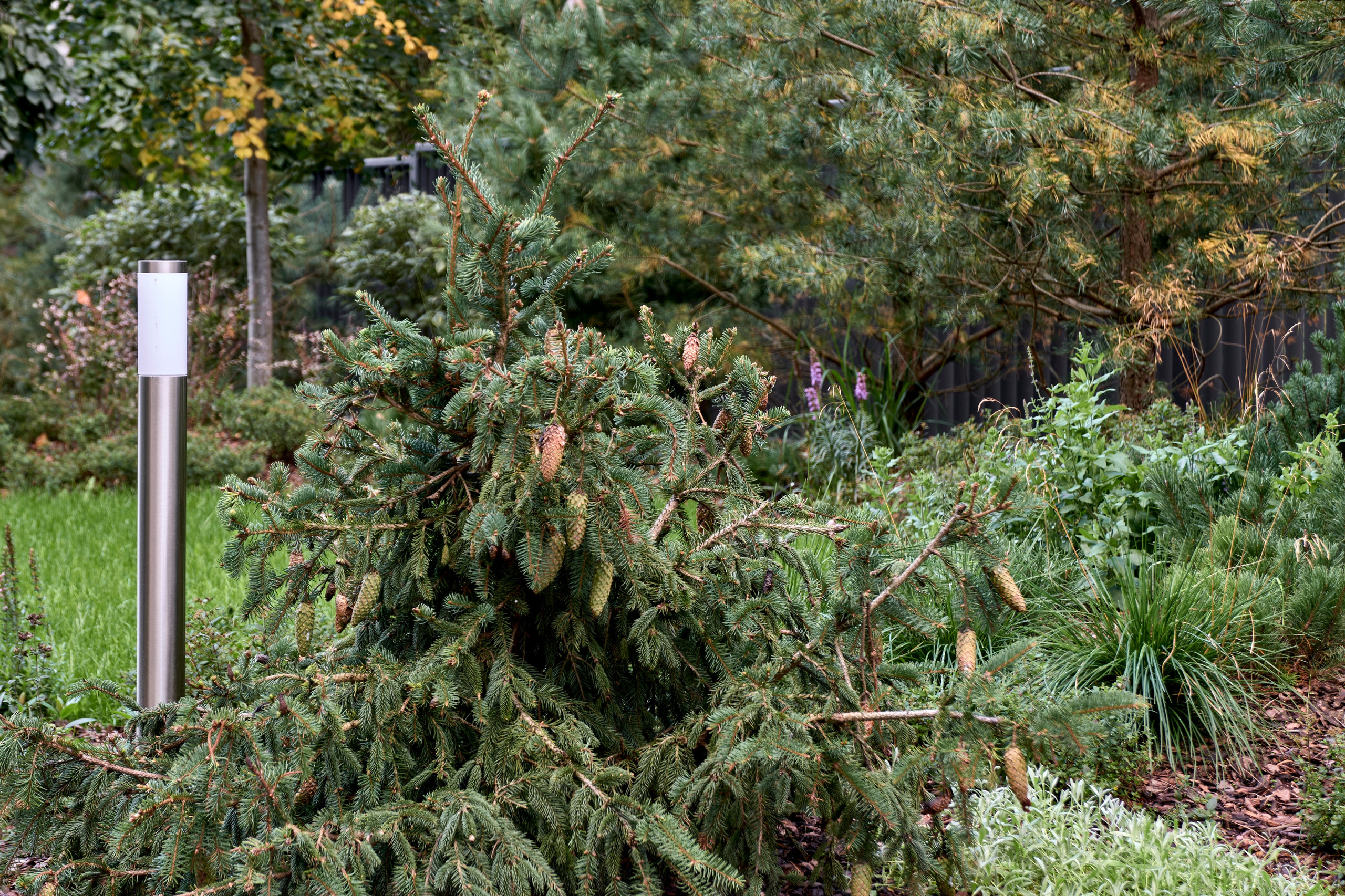 Ландшафтный и интерьерный фотограф Наталья Соловьева. Фотосъемка проекта сада Neula для ландшафтной студии Зелен | interioto