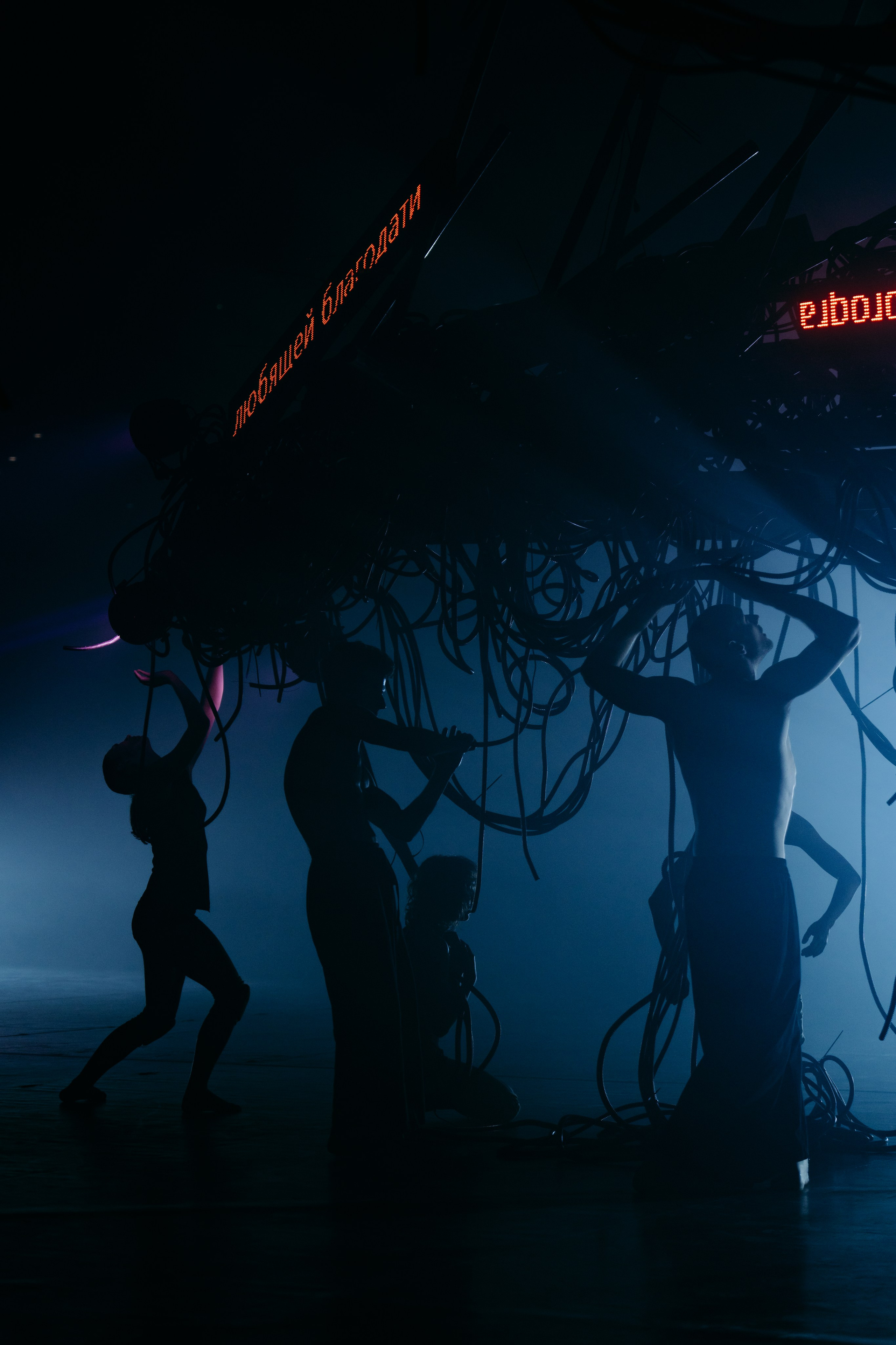 PERFORMA, The Hour of the Horse. @tomrus: Рустам Шагиморданов — фотограф