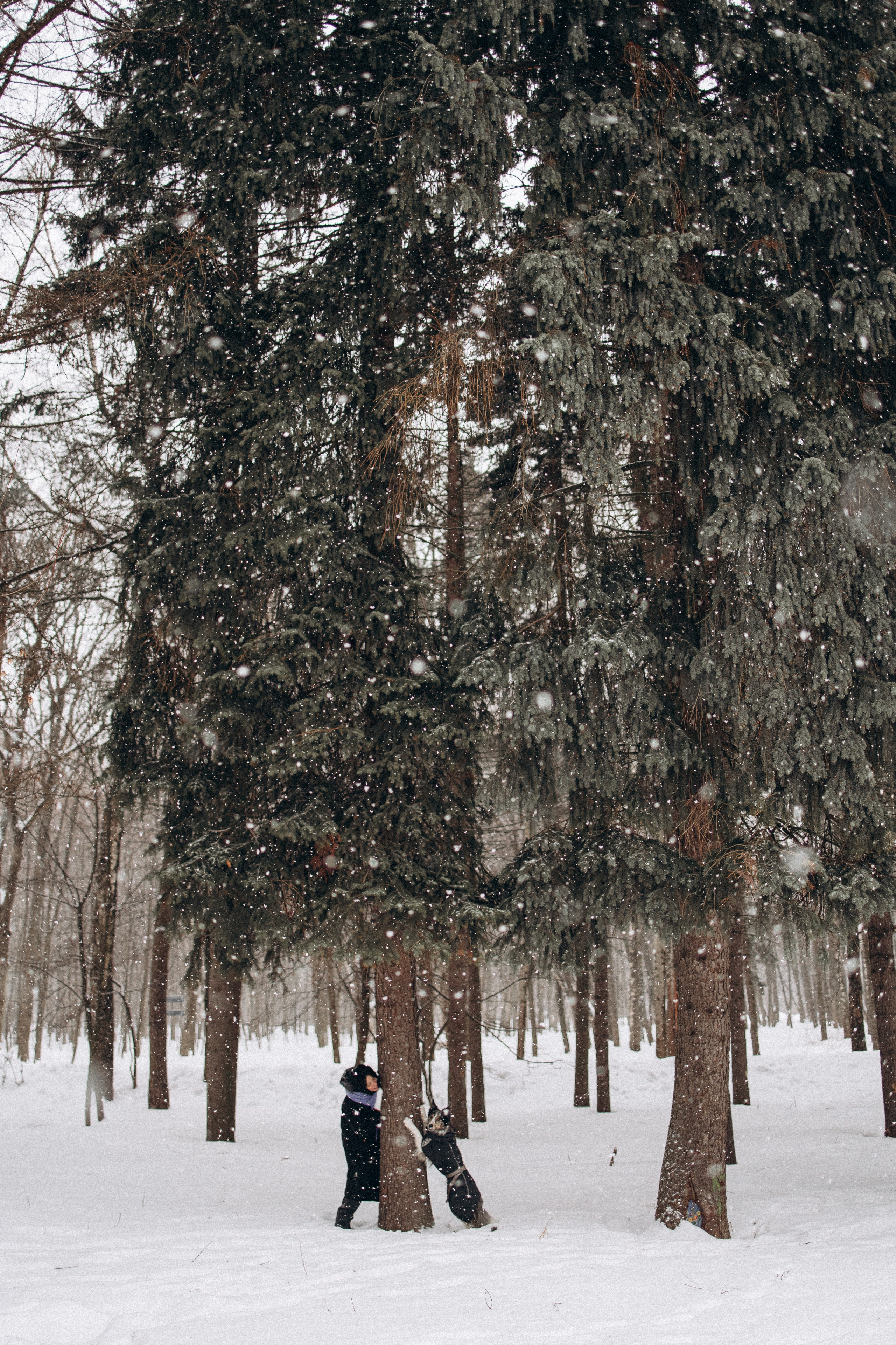 Настя и Тор. Фотораф — анималист Мария Шистка