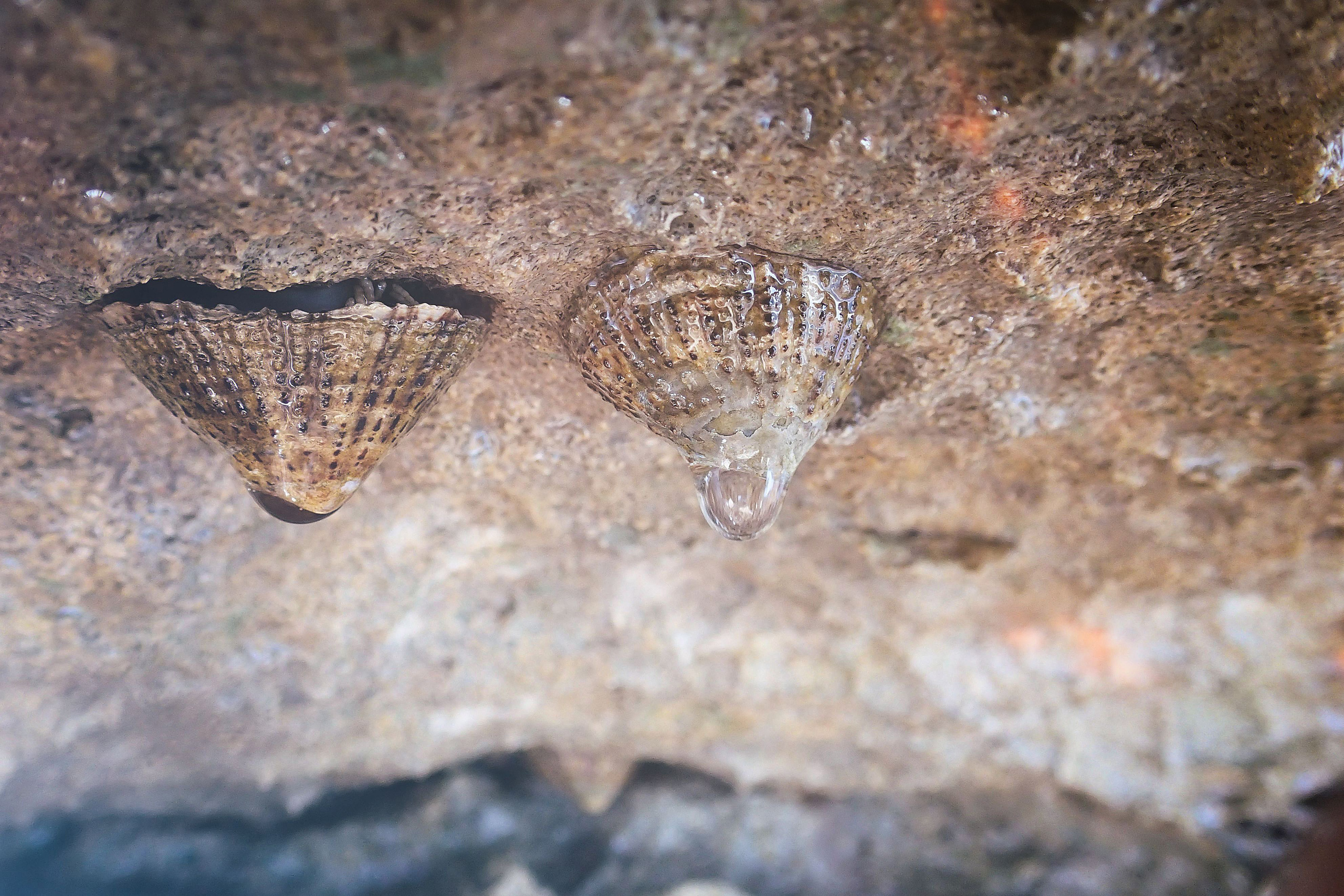Испания. Свадебный фотограф Копков Геннадий