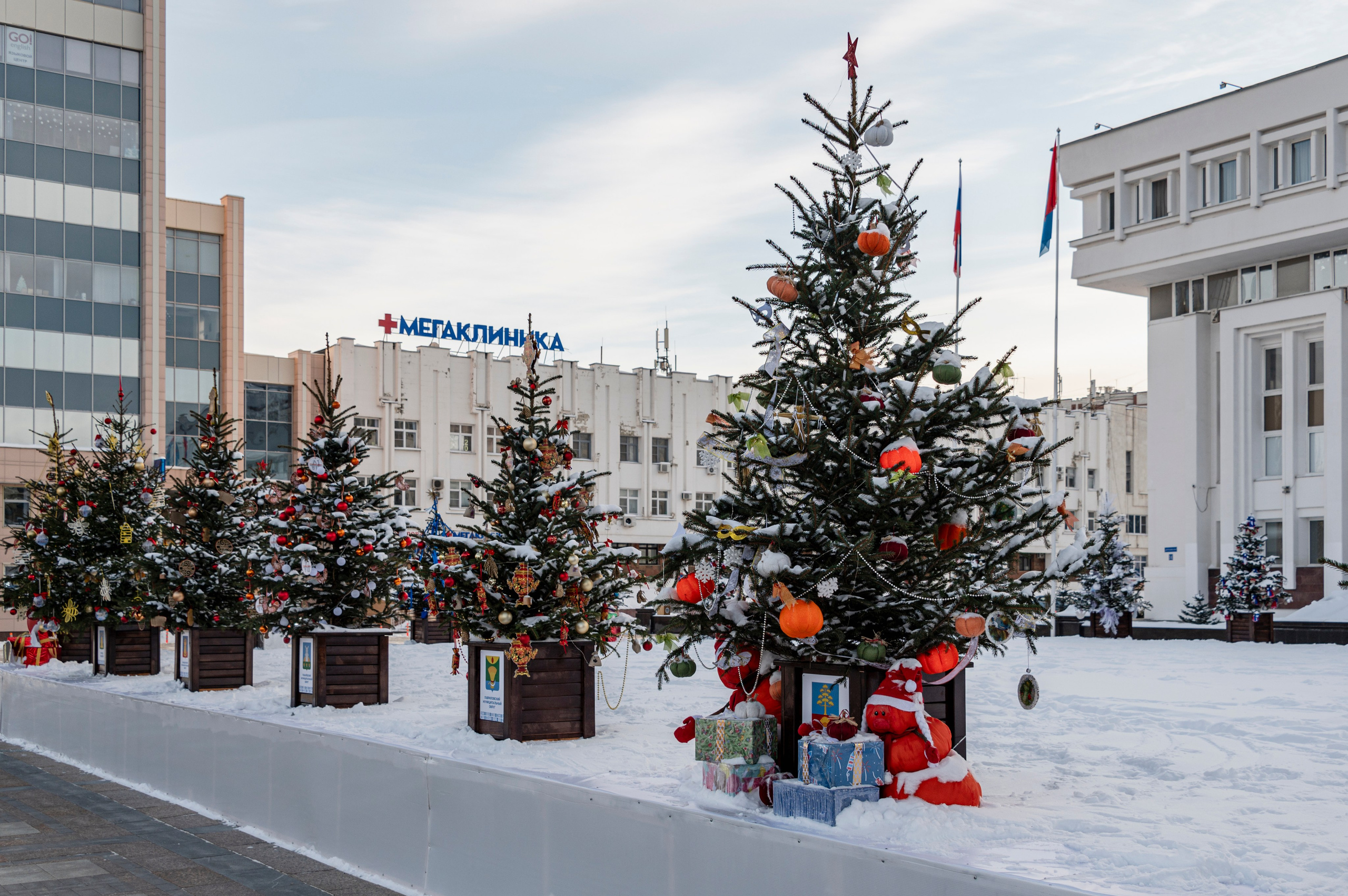 Январский Тамбов. 2024 год. Фотограф Роман Адлер
