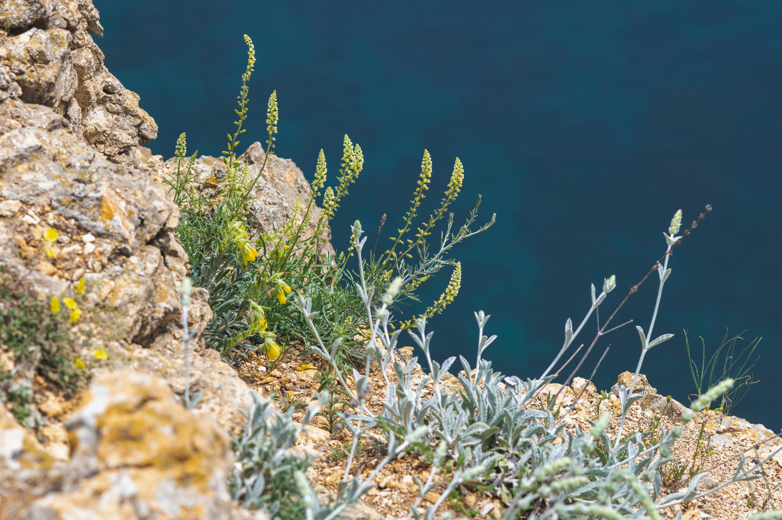 Крым май 2022. Фотограф Роман Адлер