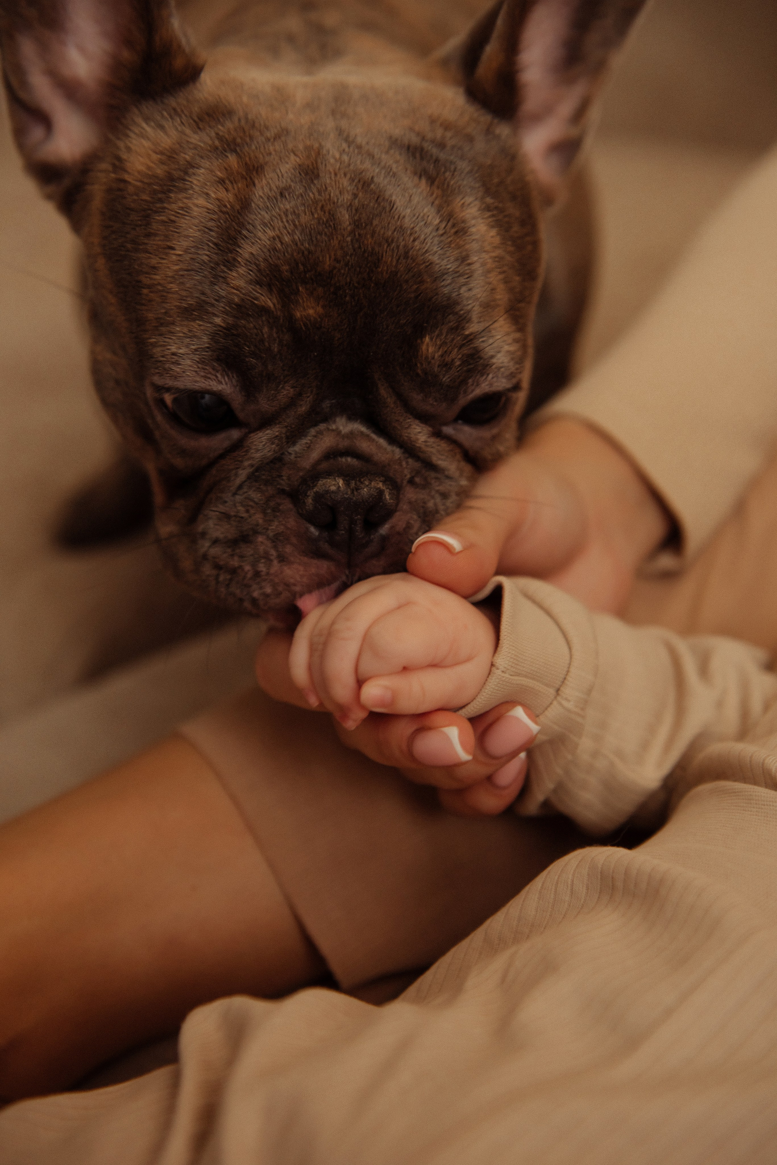 Катя. Свадебный, портретный, фотограф беременности в Нижнем Новгороде Алина Зиновьева