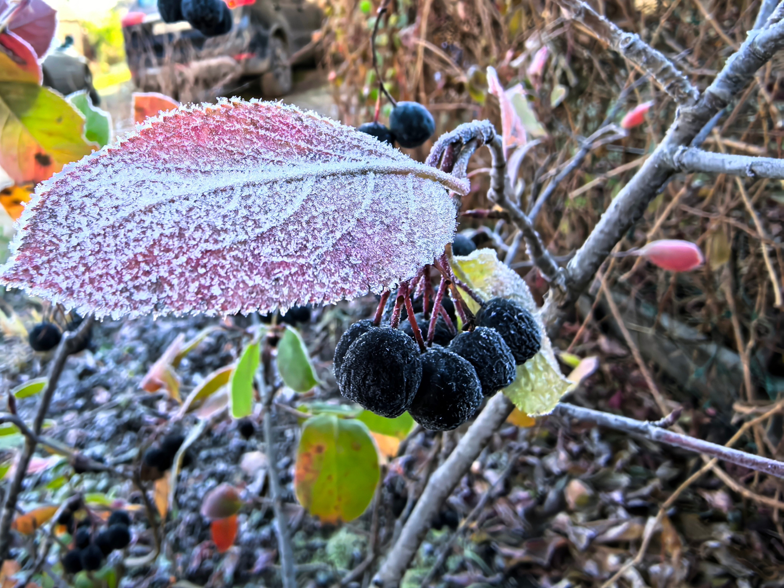 Портфолио. ЯФотограф / Фотограф Ярославль, хорошие цены услуги качество на фото и фотосессии