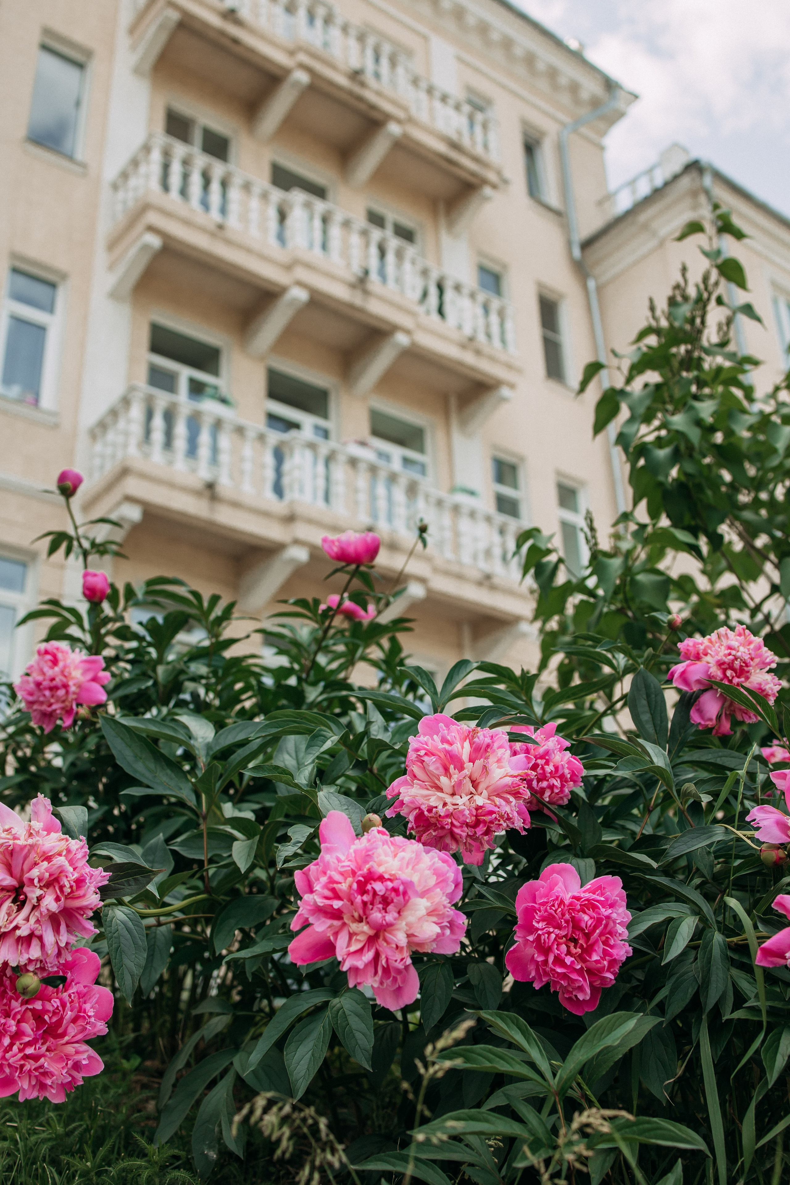 Love Story Danil & Ekaterina. Romanovs | Свадебный фотограф и видеограф Чебоксары Казань Москва