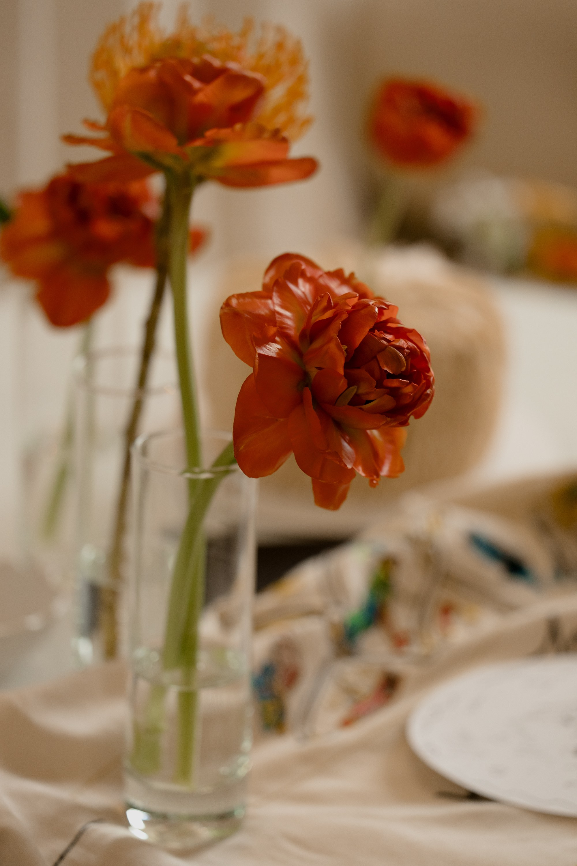 8 лет спустя. Миленина Юлия Свадебный и семейный фотограф в Краснодаре