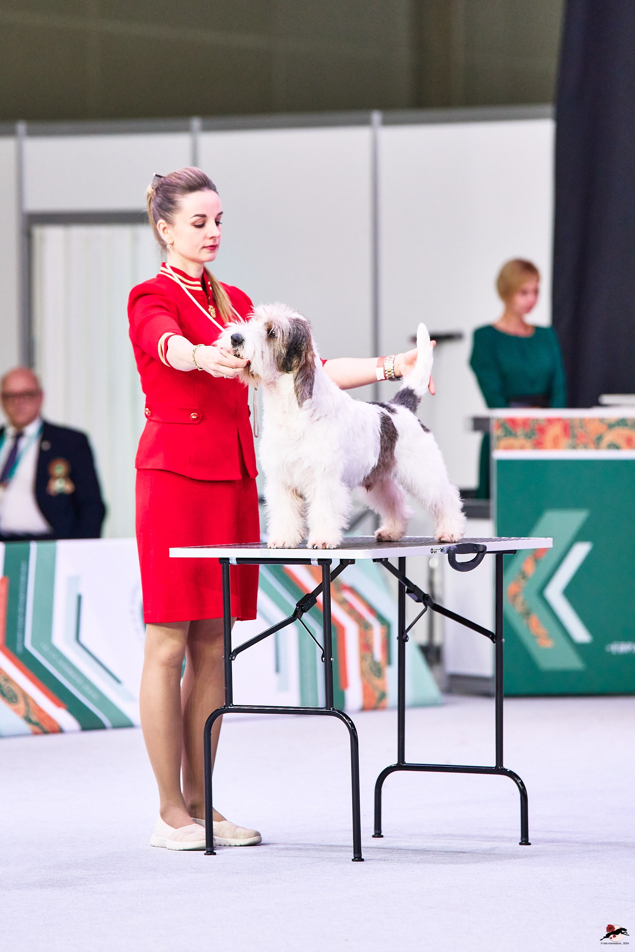 16.11.2024 «ЕВРАЗИЯ. КУБОК ПРЕЗИДЕНТА РКФ 2024»