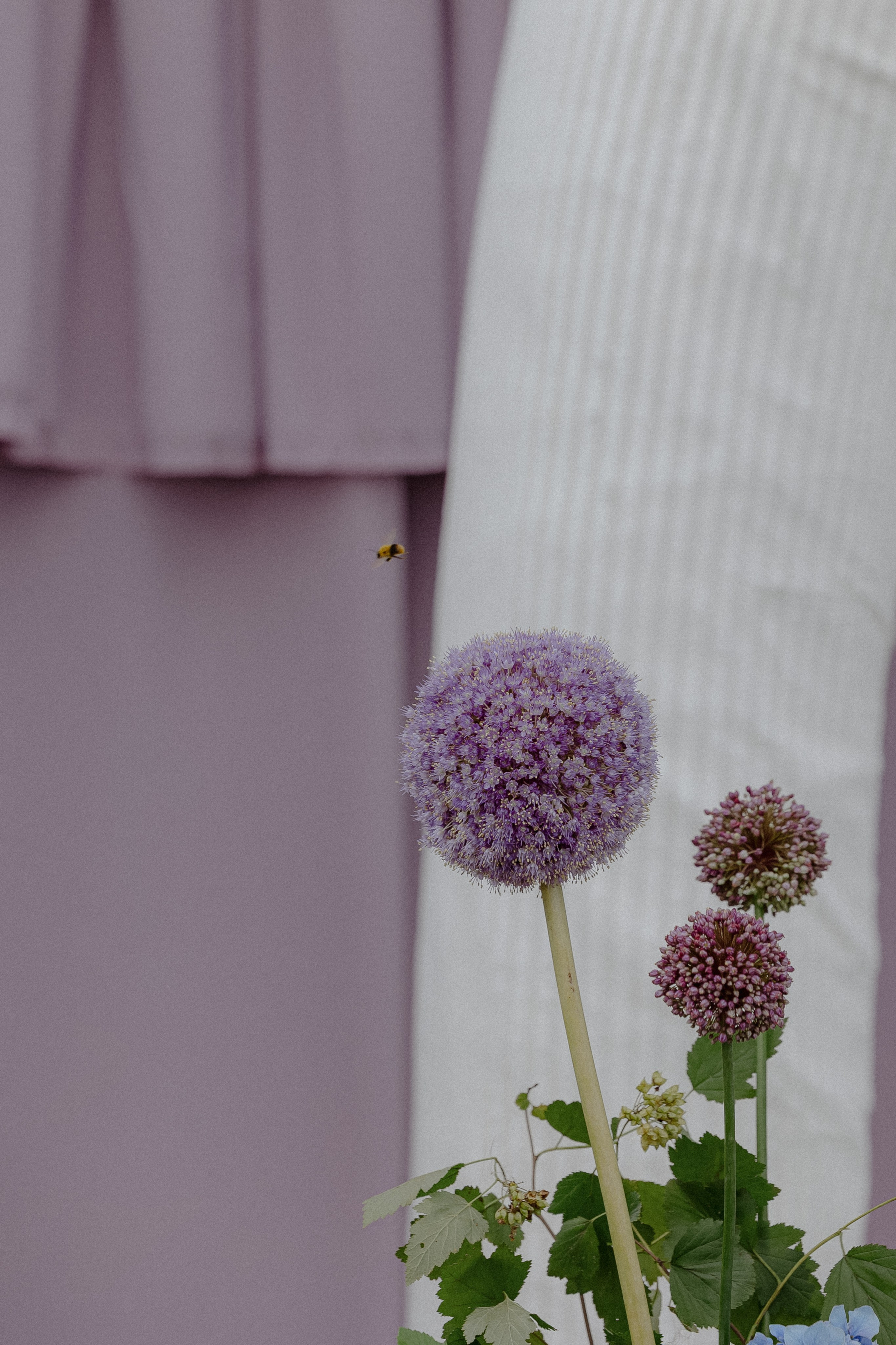Wedding day Неш и Татьяна. Свадебный фотограф Колесников Антон