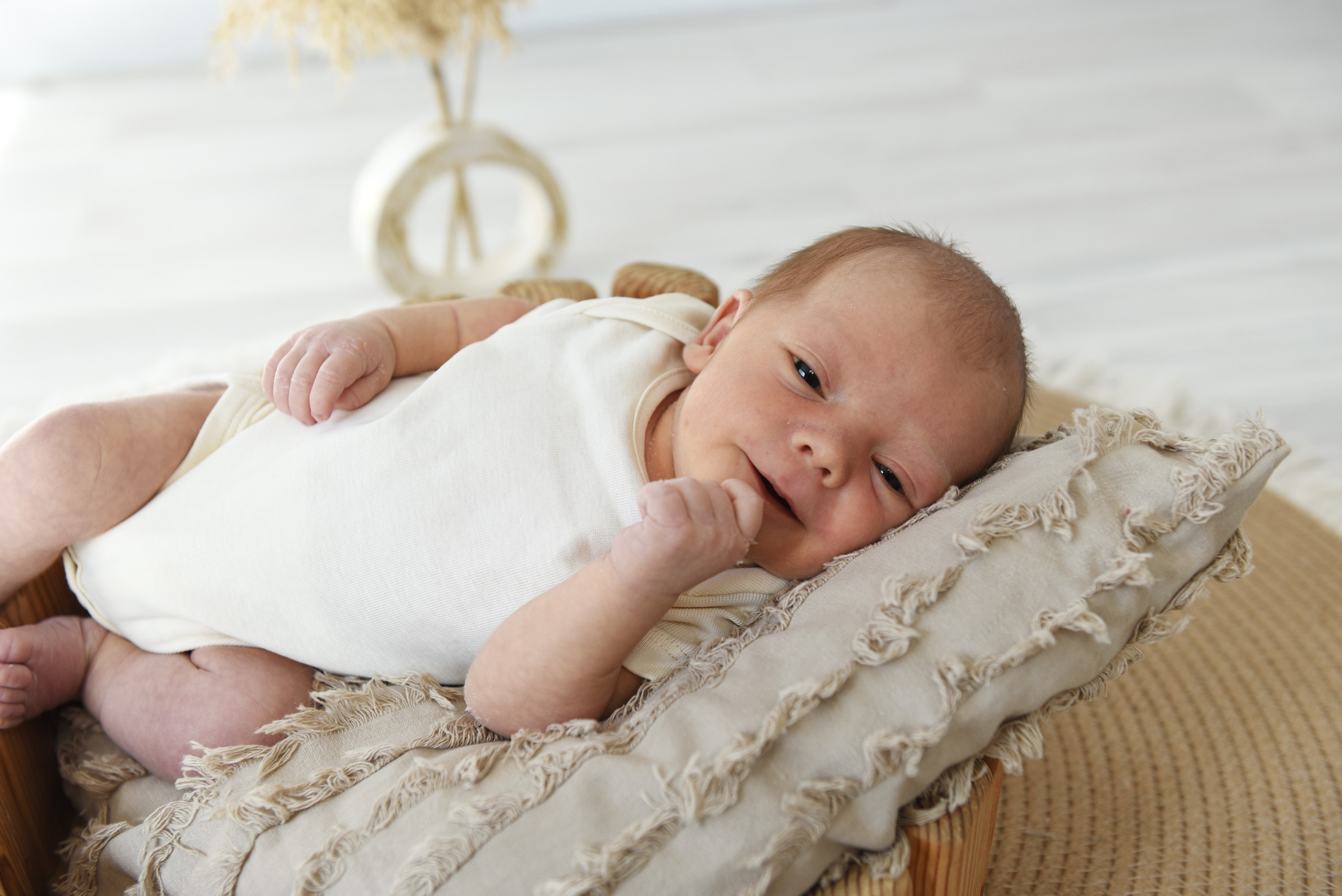 Артем-динозаврик. Семейный, детский и школьный фотограф в Димитровграде Наумова Екатерина