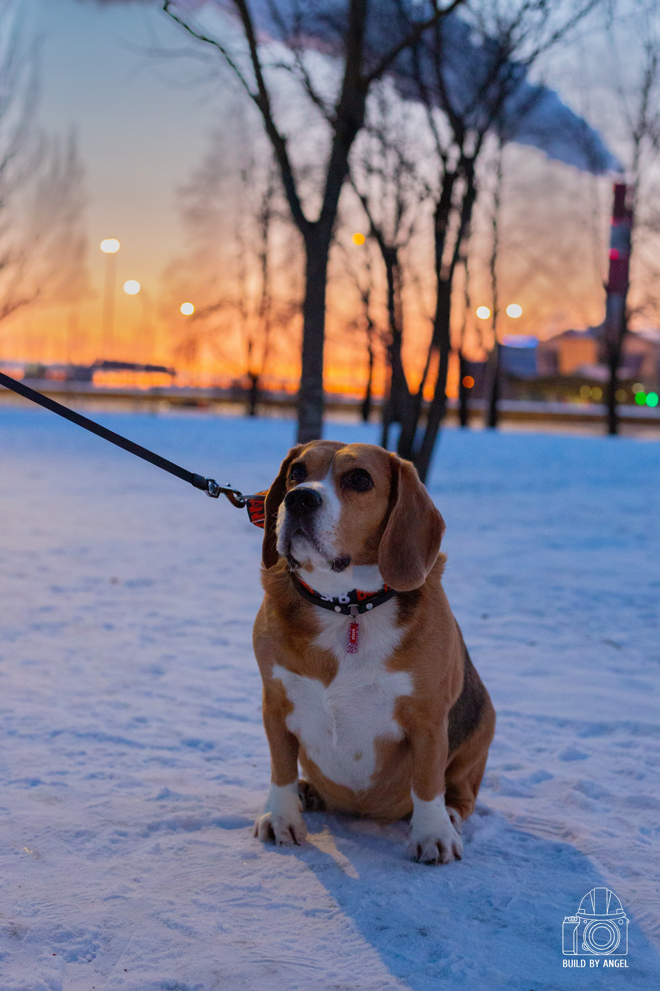Хорошо гулять со мной. Ангелина Тамилина — репортажный фотограф в Санкт-Петербурге