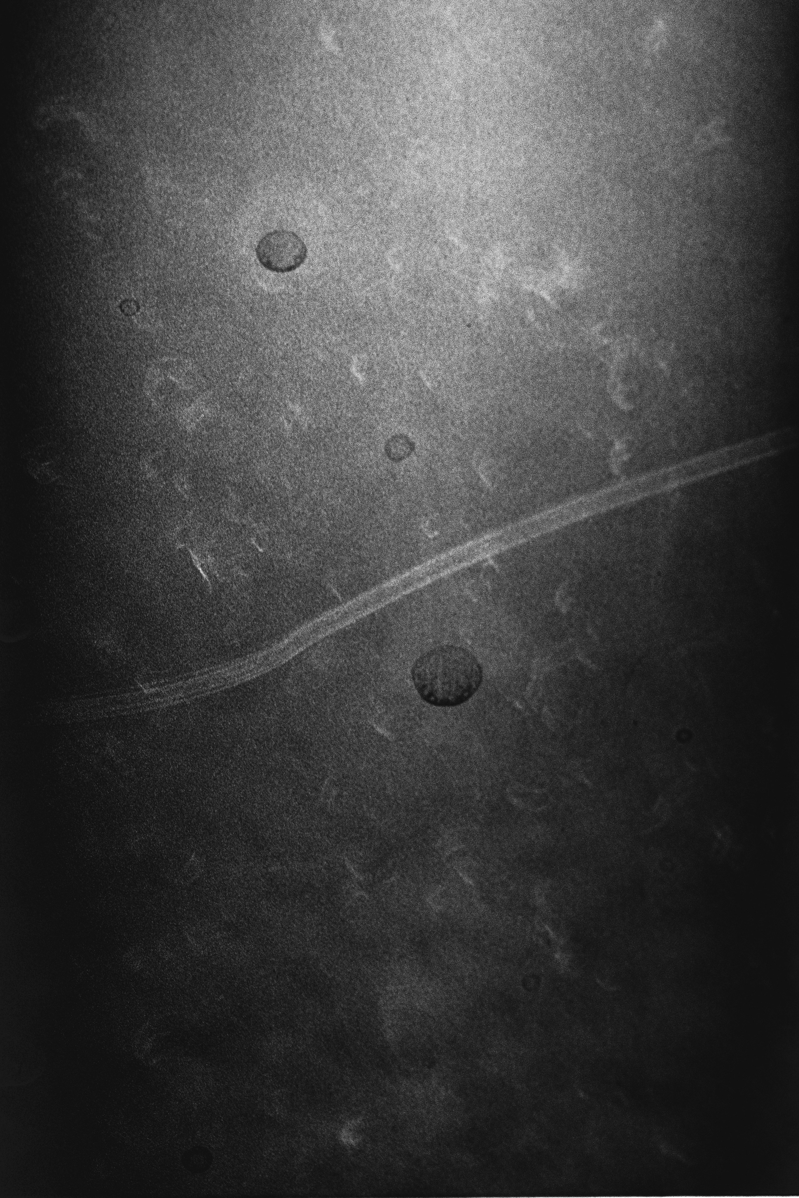 Traces. Veronika Verbitskaia | Contemporary Photographer | Dublin