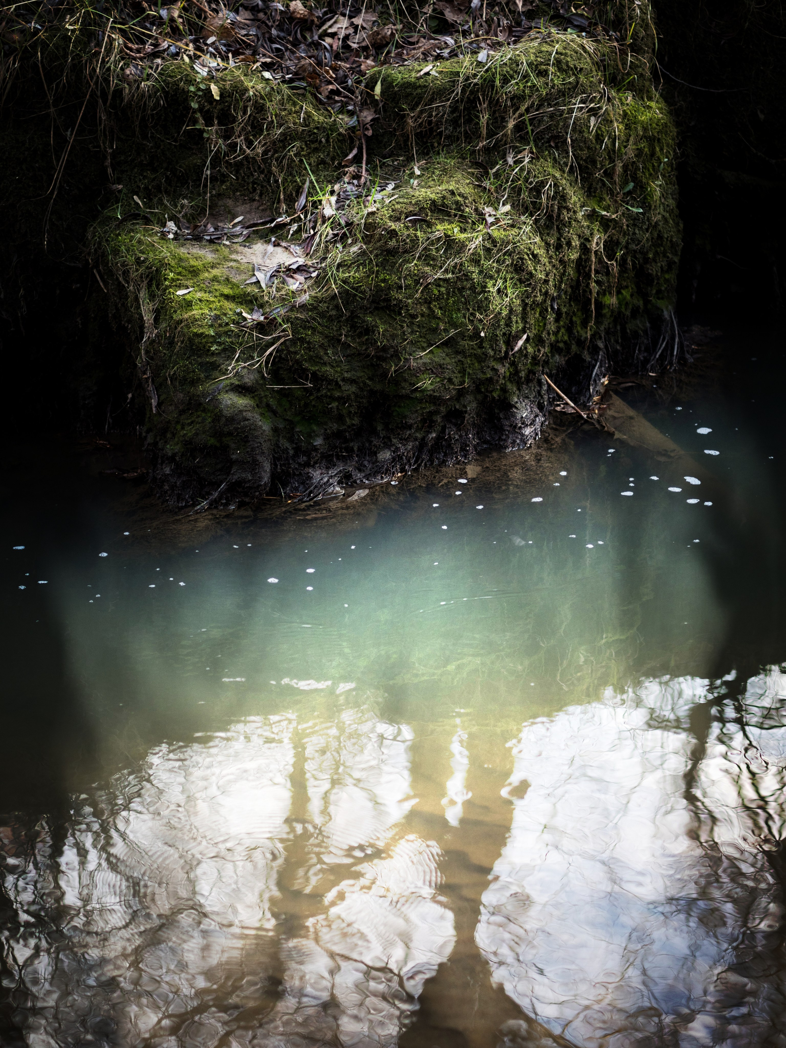 Арт. Oles Paritskiy