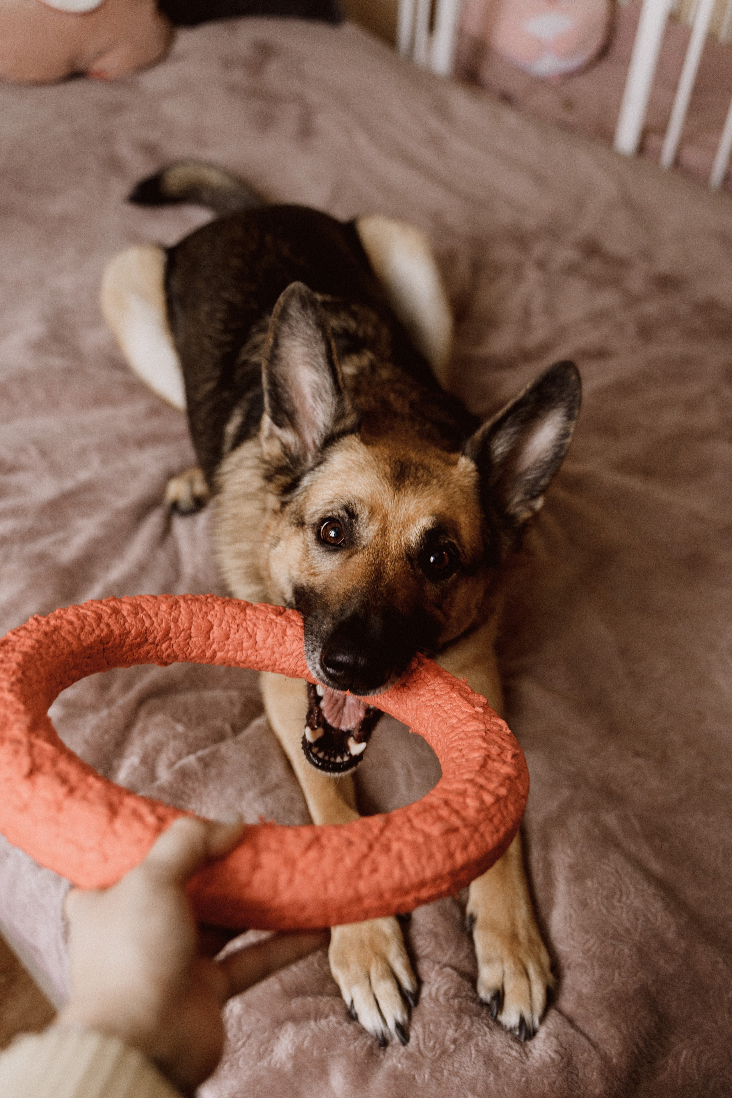 Светлана с дочкой. Главная