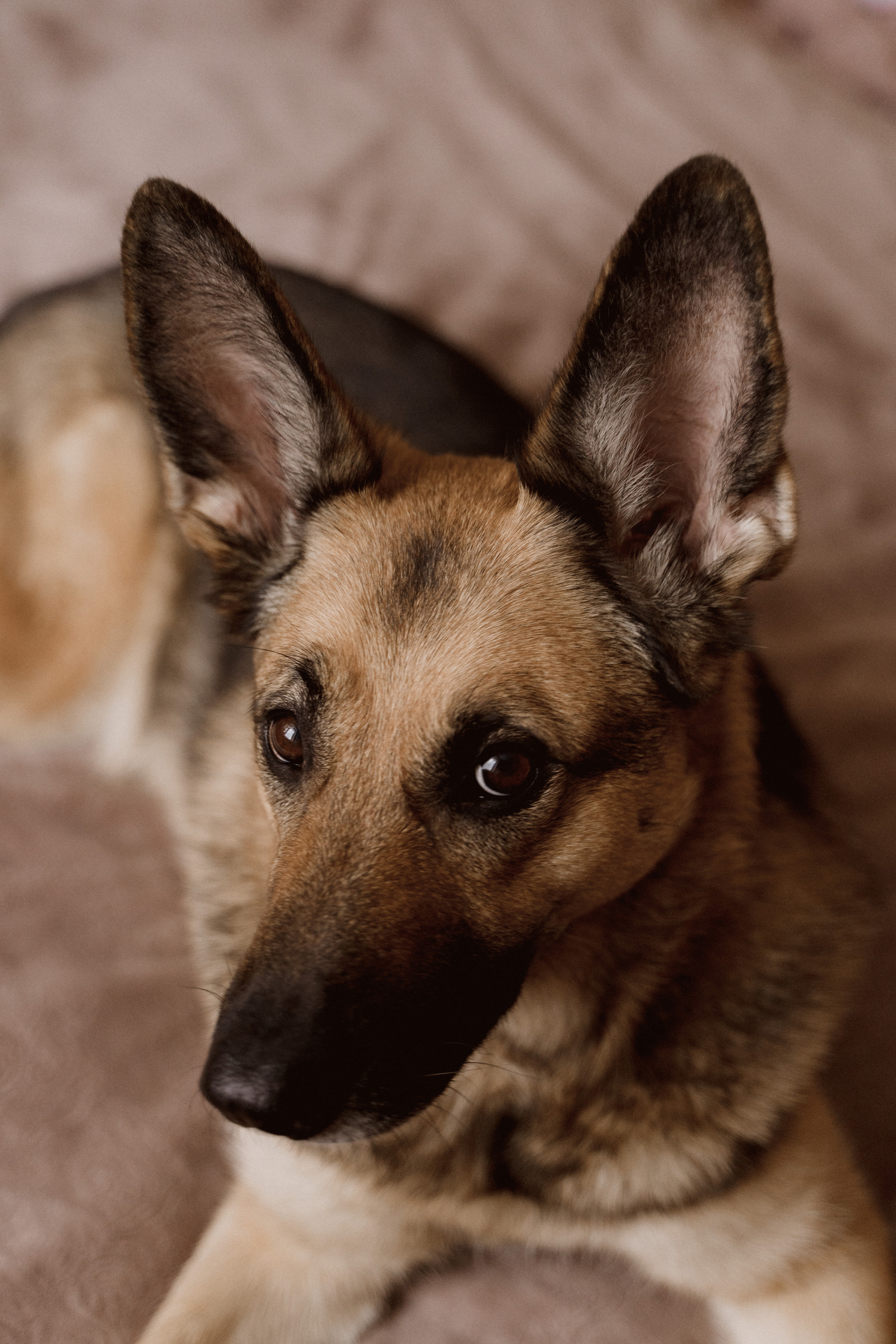 Светлана с дочкой. Главная