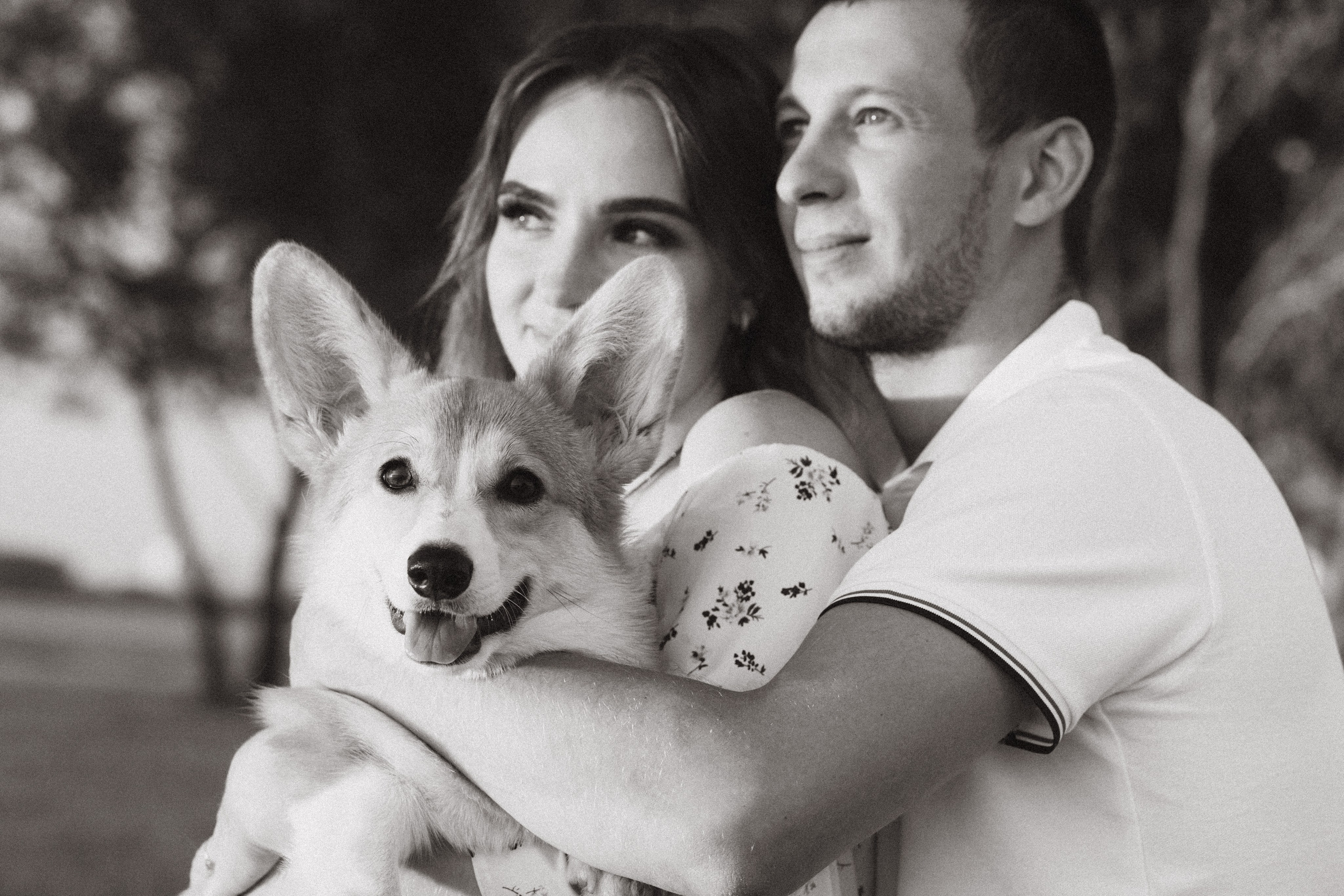 4 лапы, 2 пары ног и одно сердечко на троих ❤. Фотограф Анастасия Романова Рязань