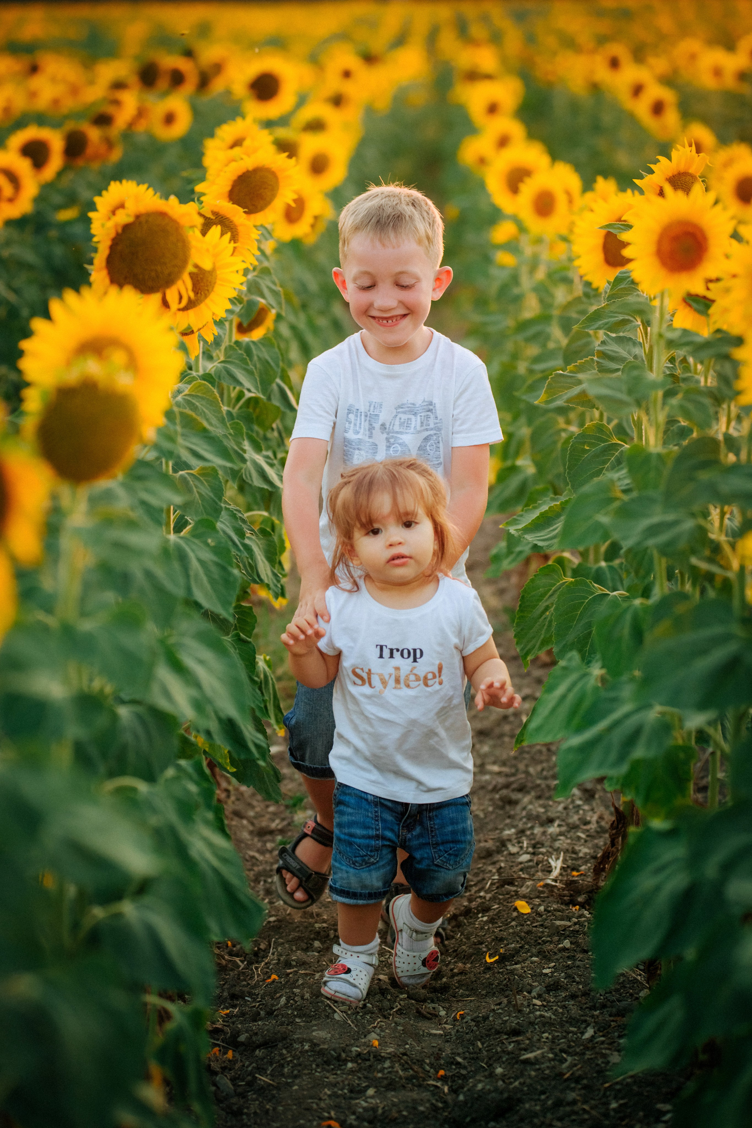 Подсолнухи!. Семейный, детский, свадебный, фотограф в городе Анапа