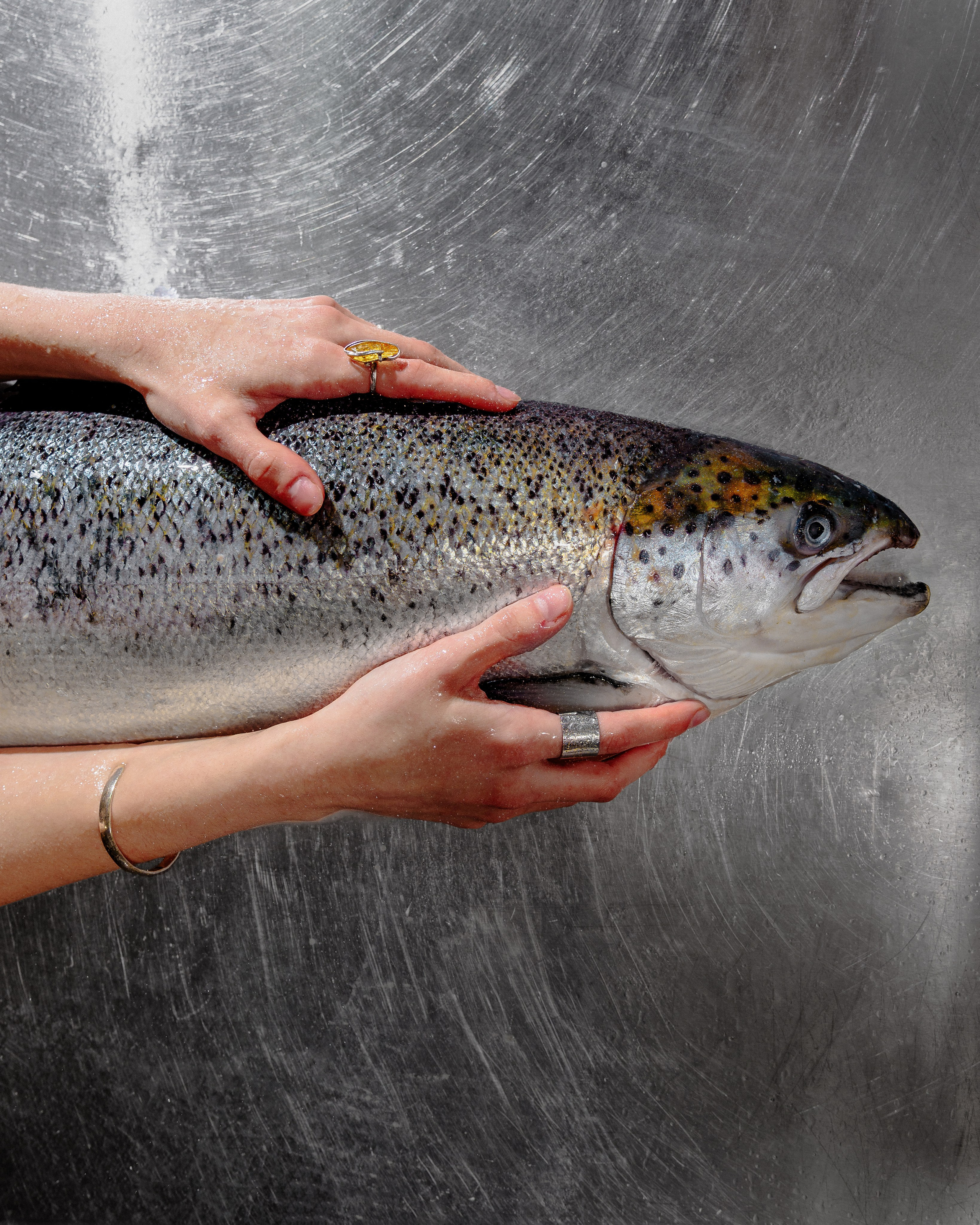 Блюда. Фотограф в Санкт-Петербурге Артем Михайлов