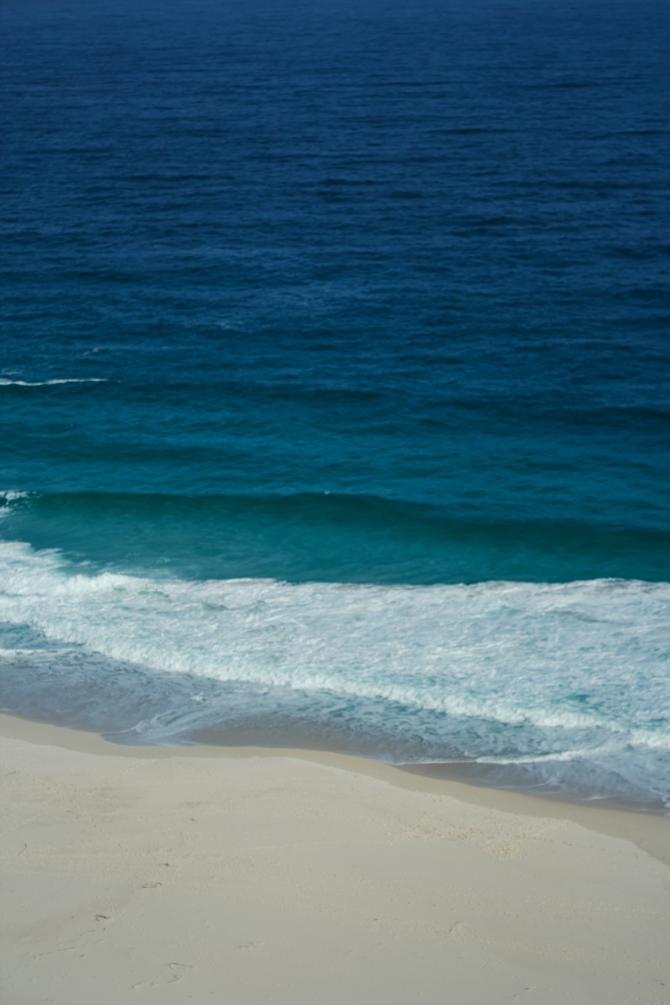 ЮАР. Профессиональный Фотограф во Владимире, в Москве и в Суздале — Полина Романычева