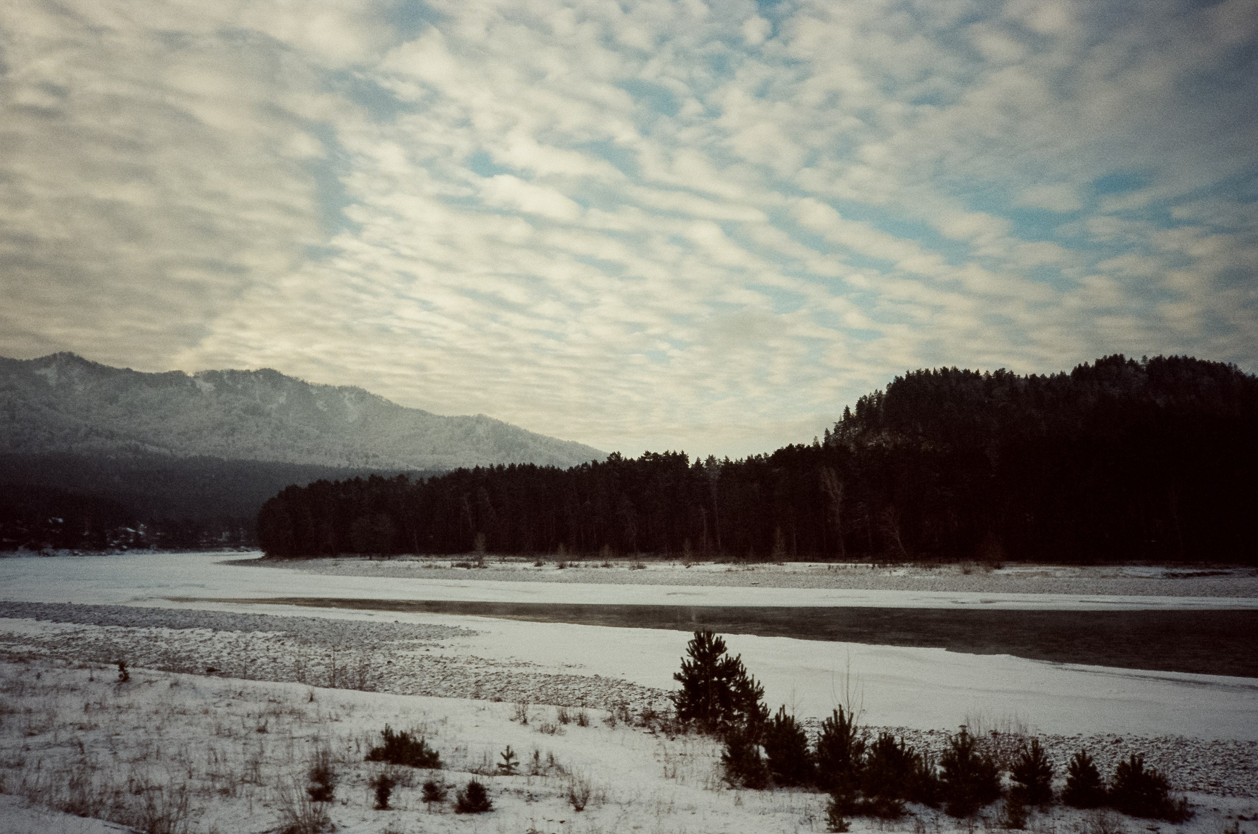 Утро в Манжероке и кафе-автобус Coffee Bus на Чемальском тракте. Фотограф-документалист Мария Осокина