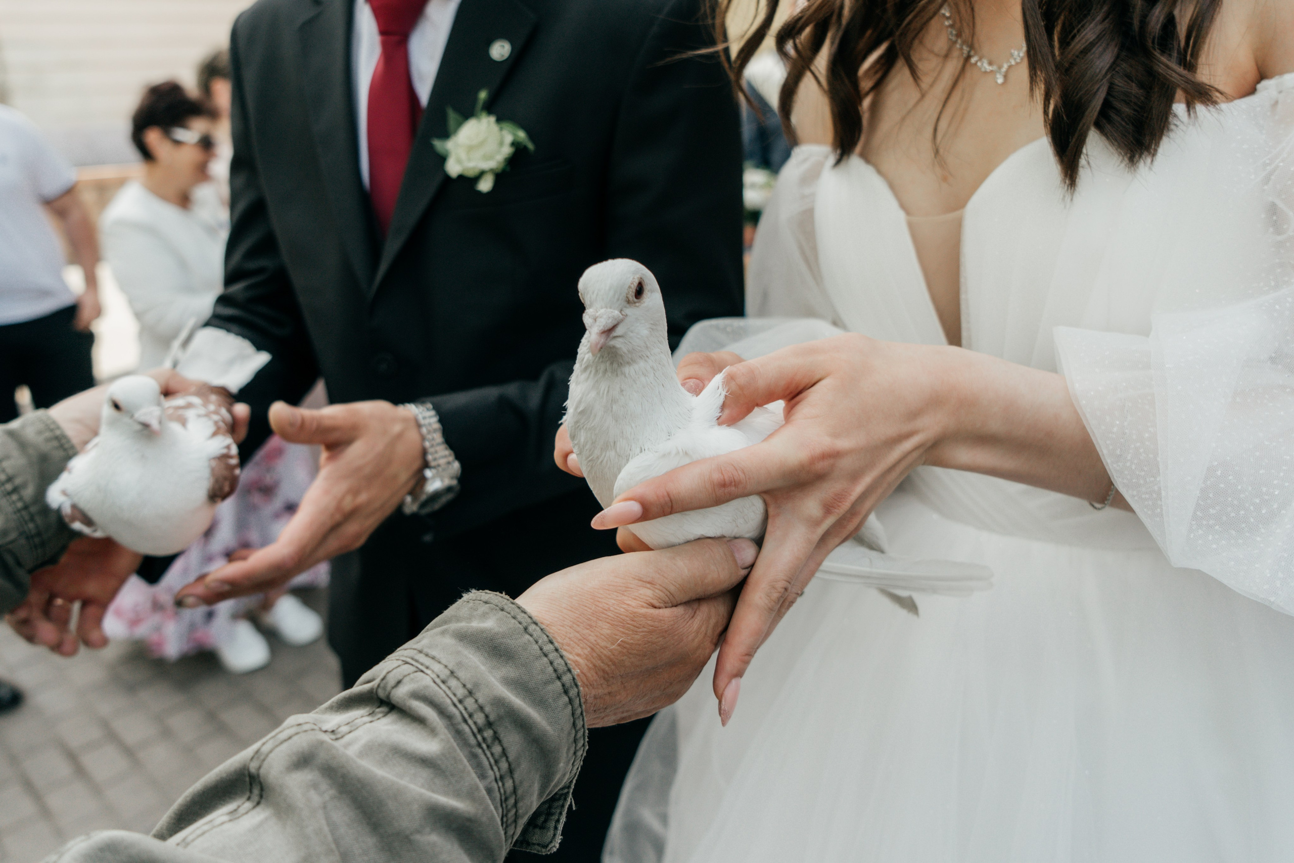 Свадьба Андрея и Валерии. Фотограф Улан-Удэ