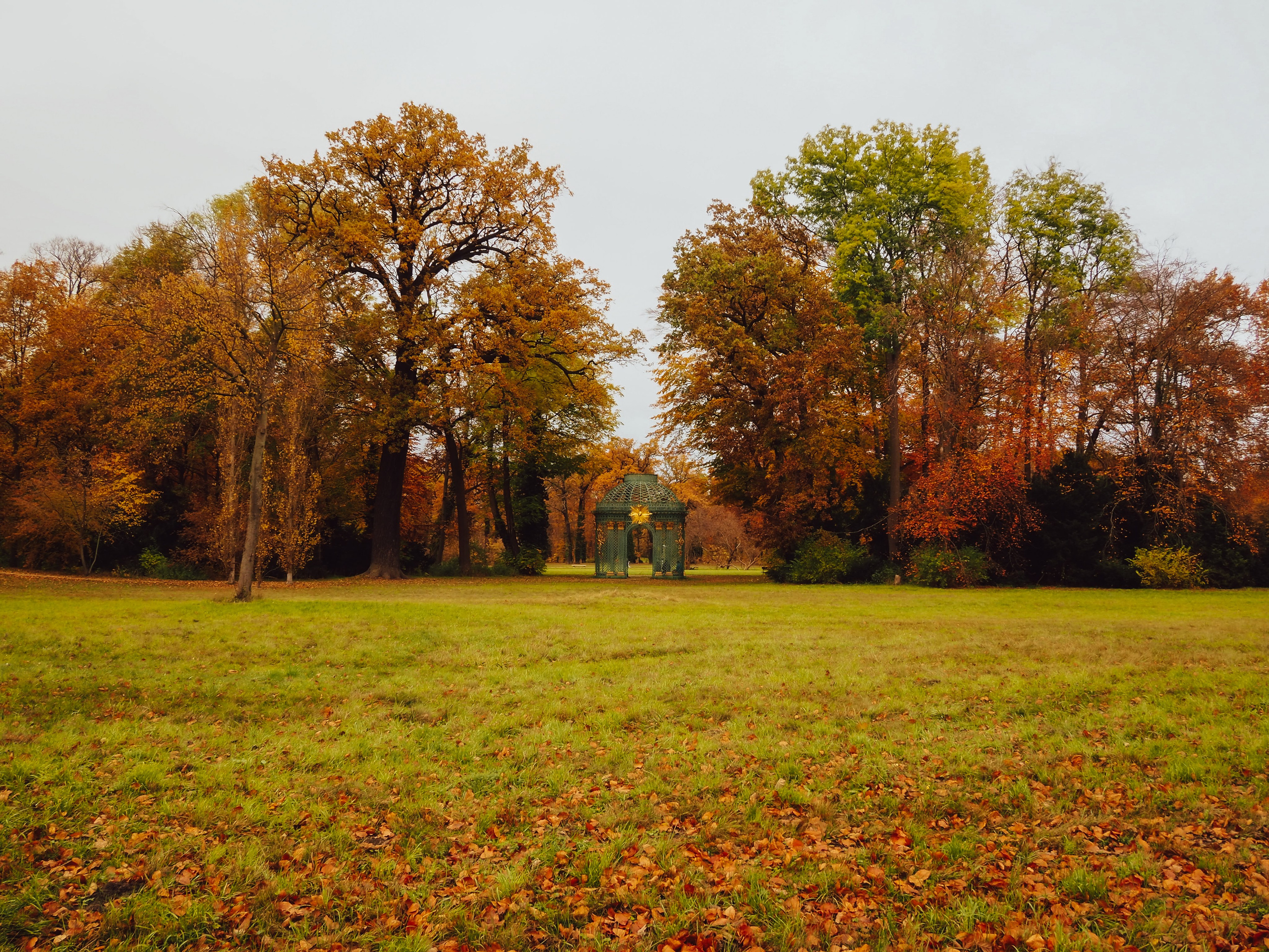 Осень в Потсдаме. Германия. Репортажный фотограф в Берлине Александра Герман