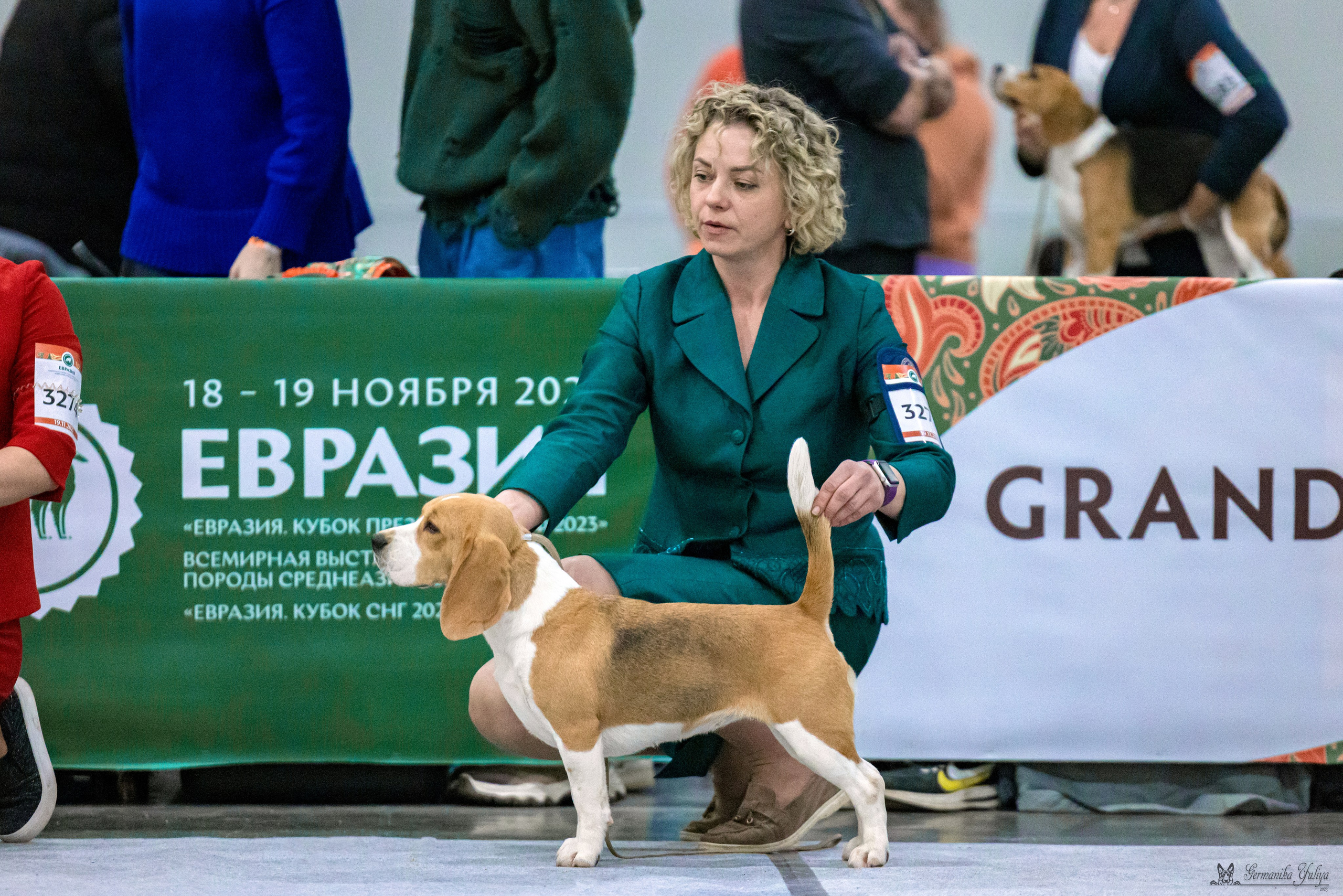 ЕВРАЗИЯ 18-19.11.2023. Фотограф-анималист Юлия Германика